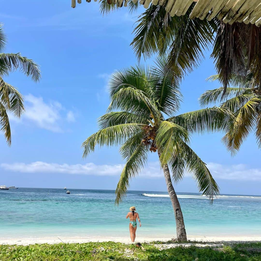 カリッサ・ムーアさんのインスタグラム写真 - (カリッサ・ムーアInstagram)「Hard to pick just ten photos to sum up our Mentawai boat trip. Amazing food, quality humans, moon-bows, bonfires, blood moons, barrel juice, night surfs, baby turtles, shell hunting, endless games, dance parties and secret blue lagoons. Believe it or not, this was my first surf trip that didn’t involve “working” in some sense and it far exceeded any expectations.  When it rains, sometimes it pours. It felt like a lot happened at once recently and I didn’t know how much I needed these 12 days with friends and no service to reflect and reconnect to the things that matter most to me. Life is short. Be present, soak in the moments and love hard. Filled with gratitude for this human experience and all the people I get to share it with.  Mahalo @siboncharters Jaya crew for making this trip unforgettable for all of us 🥰💛」10月5日 16時15分 - rissmoore10