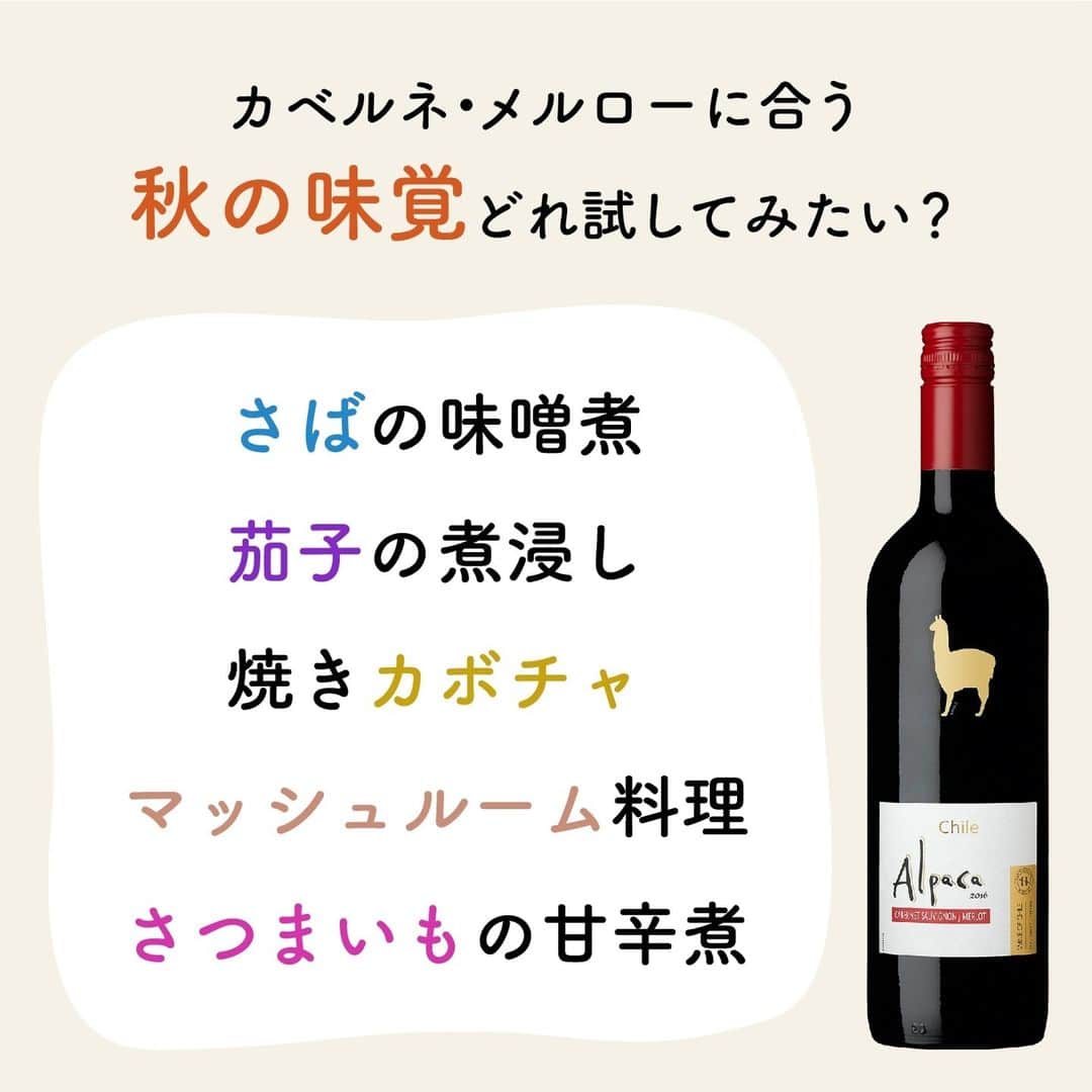 のインスタグラム：「みなさん、秋の味覚どれ試してみたいですか？🍁⁠ ⁠ カベルネ・メルローに合う秋の味覚まとめました✨⁠ コメントで教えてください😊⁠ ⁠ ↑以外の普段食べている秋の味覚&お料理もお待ちしてます♪⁠ ⁠ ┈┈┈┈┈┈┈┈┈┈┈┈┈┈┈┈⁠ ハッシュタグ、⁠ #今日のアルパカ #アルパカワイン⁠ で、みなさんからの投稿を募集中🍷⁠ 公式アカウントでご紹介させていただきます！⁠ おすすめのおつまみや、アルパカと一緒に食べたおうちごはんなど、投稿をお待ちしています！⁠ ┈┈┈┈┈┈┈┈┈┈┈┈┈┈┈┈⁠ ⁠ #alpaca#alpacawine#赤ワイン#赤ワインに合う#チリワイン#リーズナブルワイン#デイリーワイン#コスパワイン#ワインのある暮らし#ワインに合うおつまみ#ワインに合う料理#おうちワイン#家飲みワイン#ワイン好きな人と繋がりたい#おつまみ#家飲み#宅飲み#晩酌#ワインのお供#ワインのつまみ#おうちで乾杯#おうちごはんlover#winelover#winetime」
