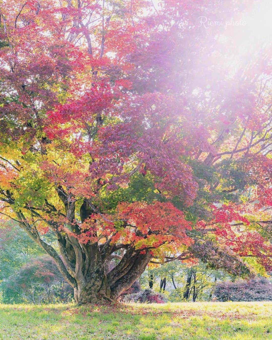 ?長野県 観光 公式インスタグラム のインスタグラム