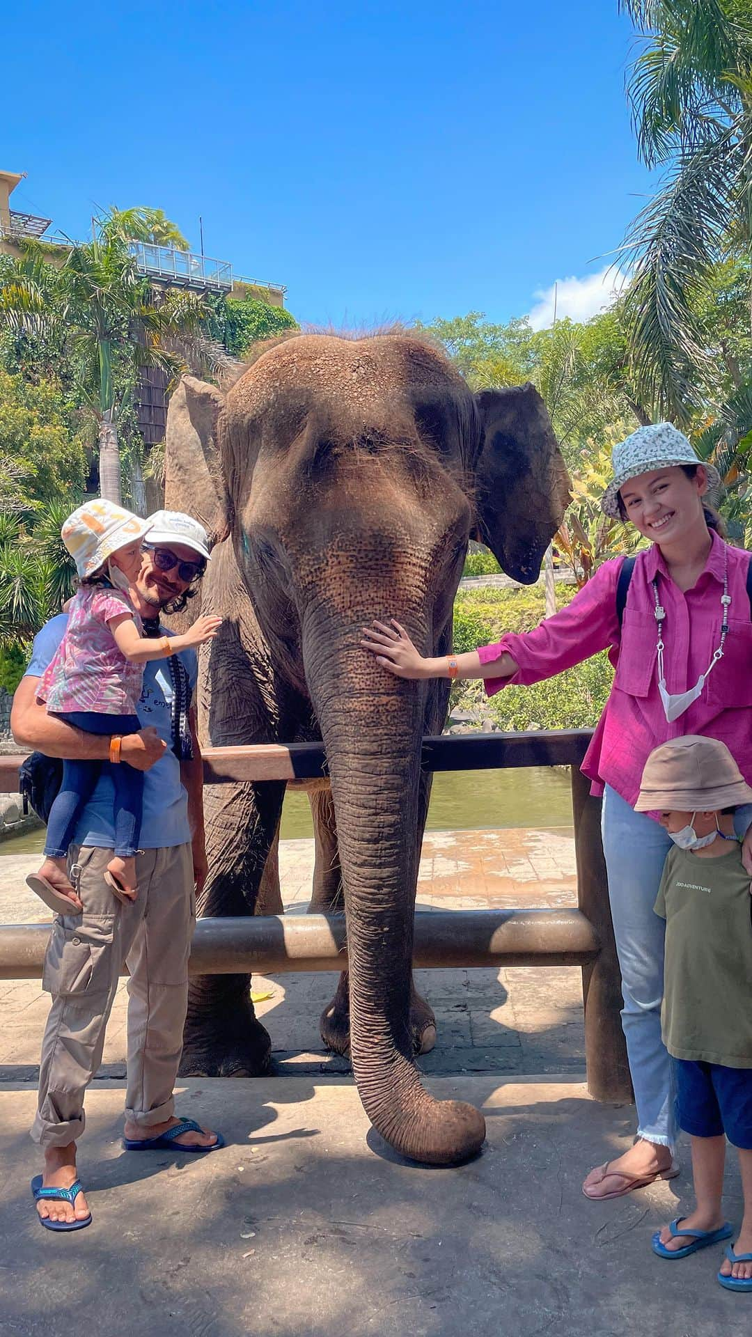 Kimberly Ryderのインスタグラム：「Another fabulous stay at @sanctoosuitesvillas with a trip to @balizoo to finally meet their elephants! Always love their excellent rooms, food and service! 🐘」