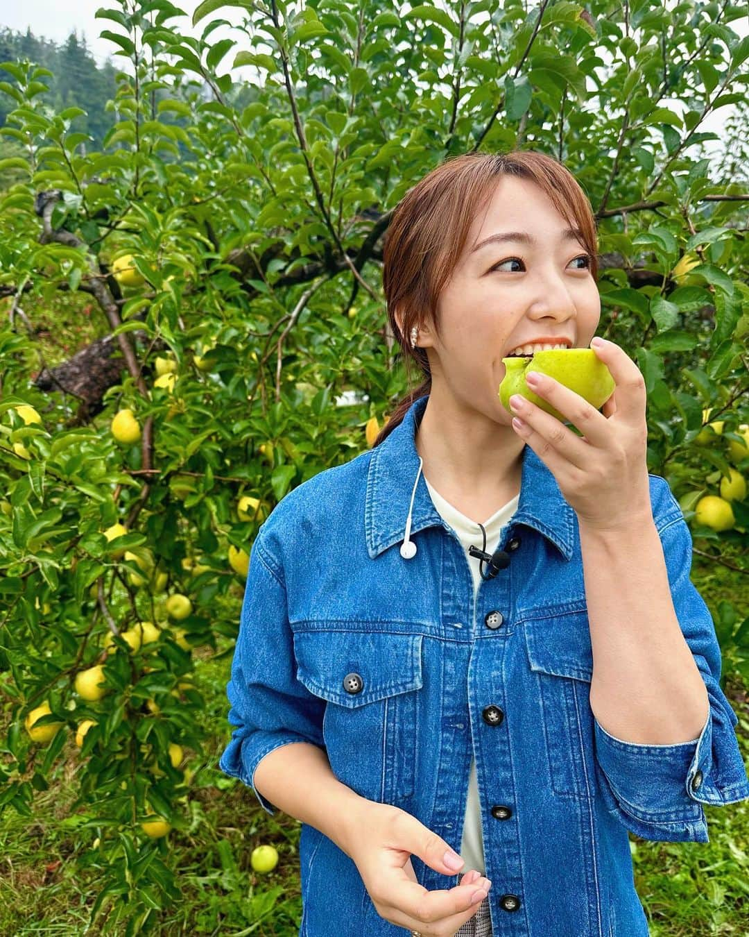 杉原凜さんのインスタグラム写真 - (杉原凜Instagram)「茨城県大子町にある豊田りんご園さんにおじゃましました！ 写真1枚目から、ピンポン玉くらい小ぶりでりんご飴にもよく使われる #姫りんご →深みのある赤色の皮が特徴の #秋映 →メロンと同じくらいの糖度がある #ゴールデンメロン です🍎 小学生のとき以来のりんご狩り楽しかった〜！ どれも美味しくてたくさん食べさせていただきました🥹🫶  #ZIP #NOWニッポン #24 #りんご狩り #豊田りんご園   👗#gallest #shoolarue #jouete」10月5日 17時44分 - sugihara_rin