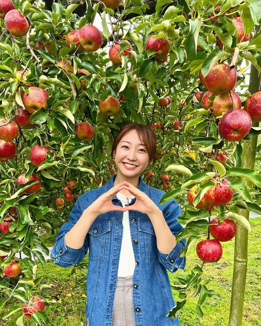 杉原凜さんのインスタグラム写真 - (杉原凜Instagram)「茨城県大子町にある豊田りんご園さんにおじゃましました！ 写真1枚目から、ピンポン玉くらい小ぶりでりんご飴にもよく使われる #姫りんご →深みのある赤色の皮が特徴の #秋映 →メロンと同じくらいの糖度がある #ゴールデンメロン です🍎 小学生のとき以来のりんご狩り楽しかった〜！ どれも美味しくてたくさん食べさせていただきました🥹🫶  #ZIP #NOWニッポン #24 #りんご狩り #豊田りんご園   👗#gallest #shoolarue #jouete」10月5日 17時44分 - sugihara_rin