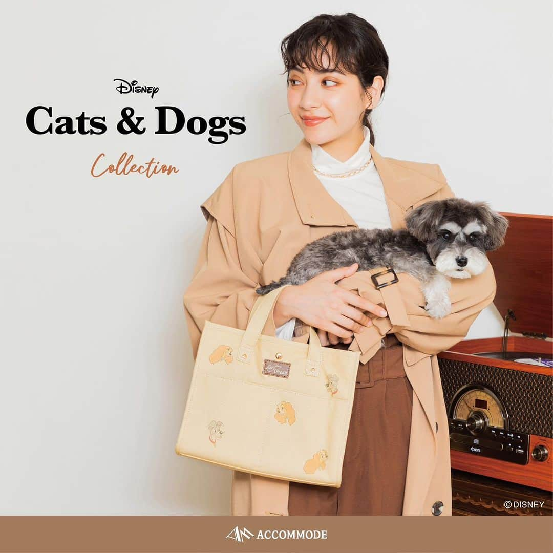 Accommodeのインスタグラム：「【お出かけトート】☁️  ACCOMMODE Disney Collection ディズニー犬猫キャラクターシリーズ🐶🐱  お買い物やピクニック、ワンチャンのお散歩にも🐾❗️  中にはペットボトルホルダーが内蔵されており、 外側のポケットはスマホも入るサイズ感✨  ショルダーは取り外し可能です👌🏼  ✔︎ ディズニー/キャンバスオデカケトート 　¥5,500 -  詳しくは商品タグもしくは プロフィールリンクよりcheck @accommode   #accommode #アコモデ #アコモデディズニー #ディズニーグッズ #ディズニーアイテム #ディズニーコーデ #わんわん物語 #わんわん物語グッズ #わんわん物語レディ #わんわん物語コーデ #レディ #トランプ #レディとトランプ #101匹わんちゃん #101匹わんちゃんコーデ #101匹わんちゃんグッズ」