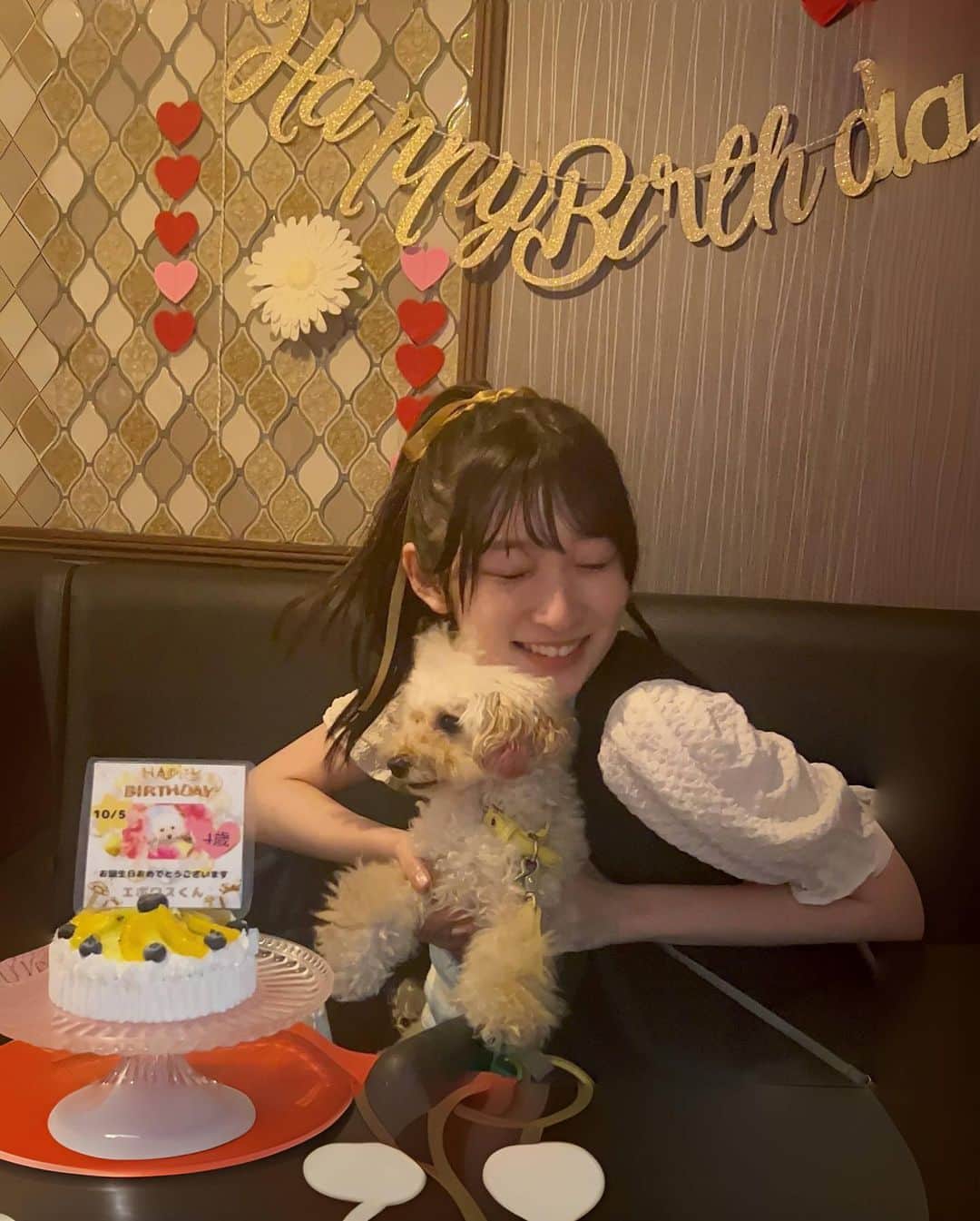 宮本佳林さんのインスタグラム写真 - (宮本佳林Instagram)「♡  父と母と エポワス(犬)生誕祭した時の🥰  #エポワス #犬 #トイプードル #犬用ケーキ #生誕祭」10月5日 18時11分 - karin_miyamoto.official