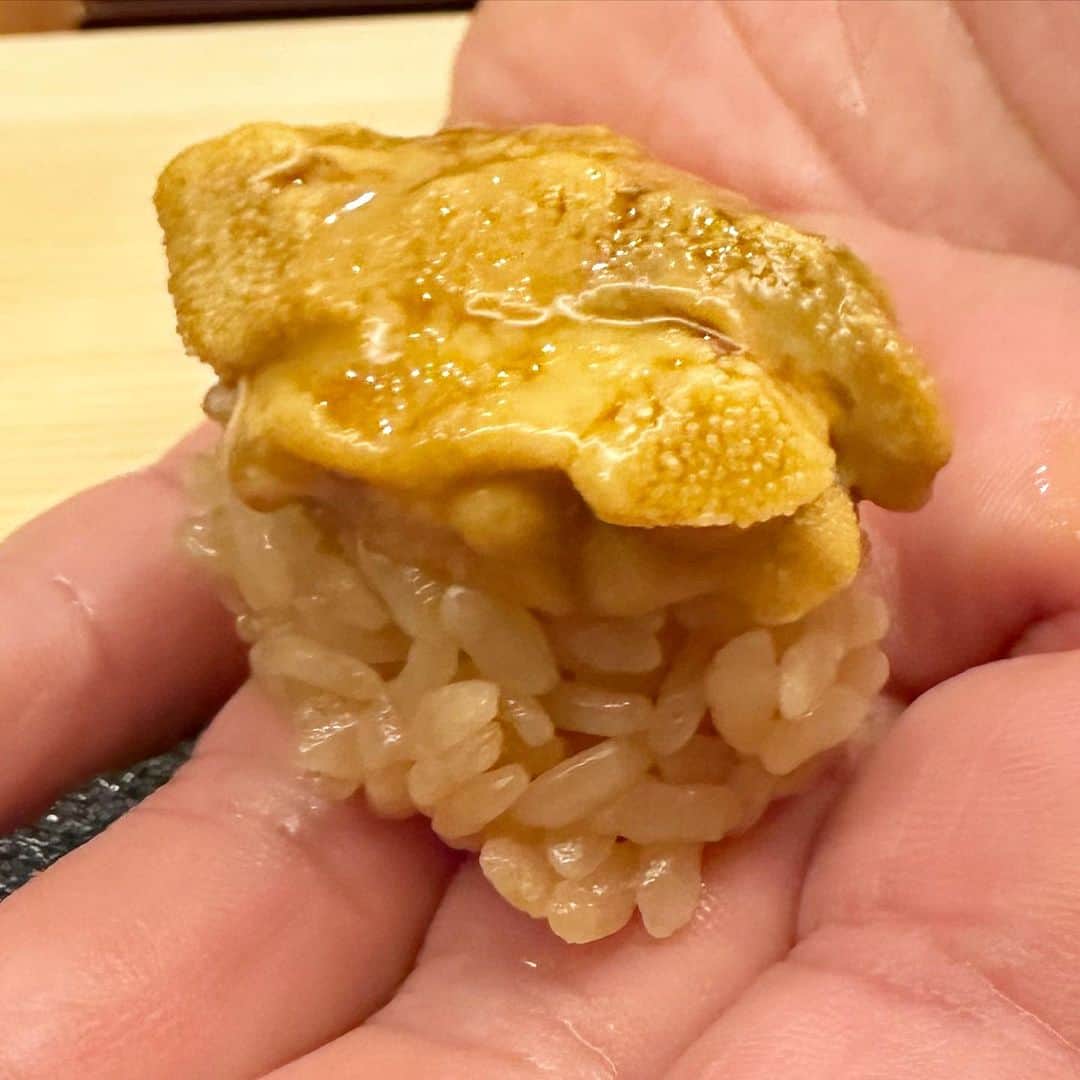 山岸久朗さんのインスタグラム写真 - (山岸久朗Instagram)「京橋の「すし処広川」。 移転してから初訪問💦 いやぁ〜凄い進化してた‼️ めちゃめちゃ美味しかった‼️ そもそも大阪に江戸前鮨を広めたんも、京橋に高級店開いたんも、この人がパイオニアやと思う。知らんけど。  #広川 #すし処 #すし処広川 #大将 #森岡さん #なんでやねん #広川ちゃうんかーい #京橋 #京橋グルメ #kyobashi #miyakojima #osaka #sushiporn  #seaurchins  #michelinsushi」10月5日 18時19分 - yamaben