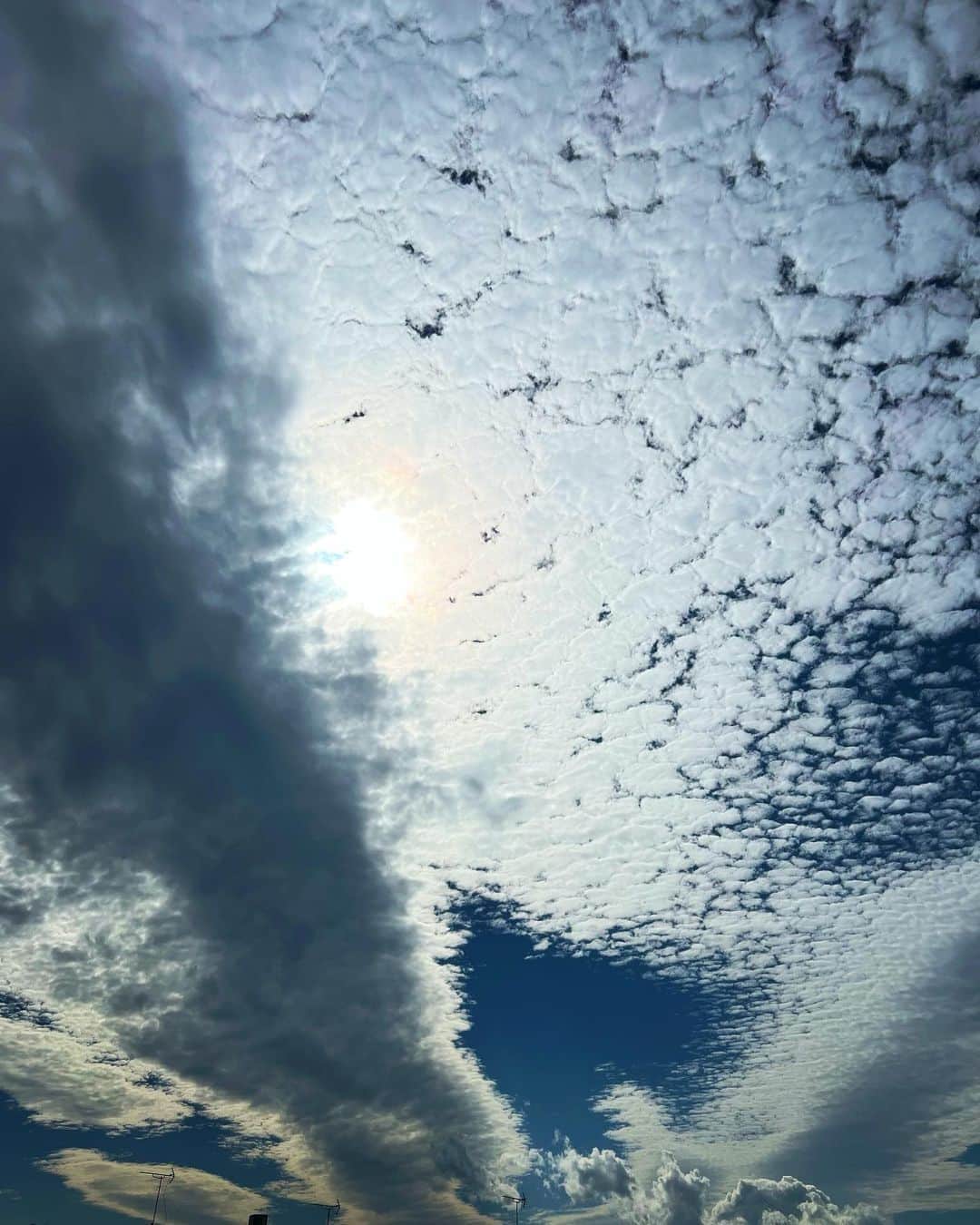 鈴木蘭々さんのインスタグラム写真 - (鈴木蘭々Instagram)「今日は実にドラマティックな空と雲だったなぁ…☺️ 2度と同じ空は見られないのでパシャリ📸  #秋の空 #鱗雲」10月5日 18時21分 - lanlan_suzuki