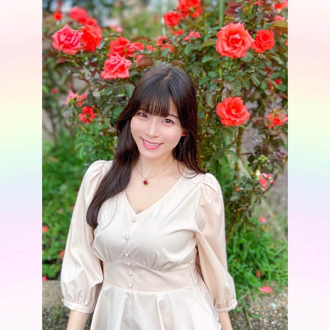 長柄ひろみさんのインスタグラム写真 - (長柄ひろみInstagram)「#rosegarden 🌹  秋薔薇の季節😊🌹  今年は悪天候の影響で薔薇があんまり育たなくて、バラ祭りが中止になる所もあるそうです😖⚡️  確かに例年よりお花が小さめな気がします。  でもでも、この薔薇はオレンジ寄りの朱色みたいな色で綺麗でした🥰🌹  時期が終わらないうちに他の薔薇園も見に行きたいな😌🌹💗   ｡・ﾟ・。✾｡・ﾟ・。✾｡・ﾟ・。✾｡・ﾟ・｡✾。・ﾟ・。  #薔薇 #バラ園」10月5日 18時34分 - aoi_asahi