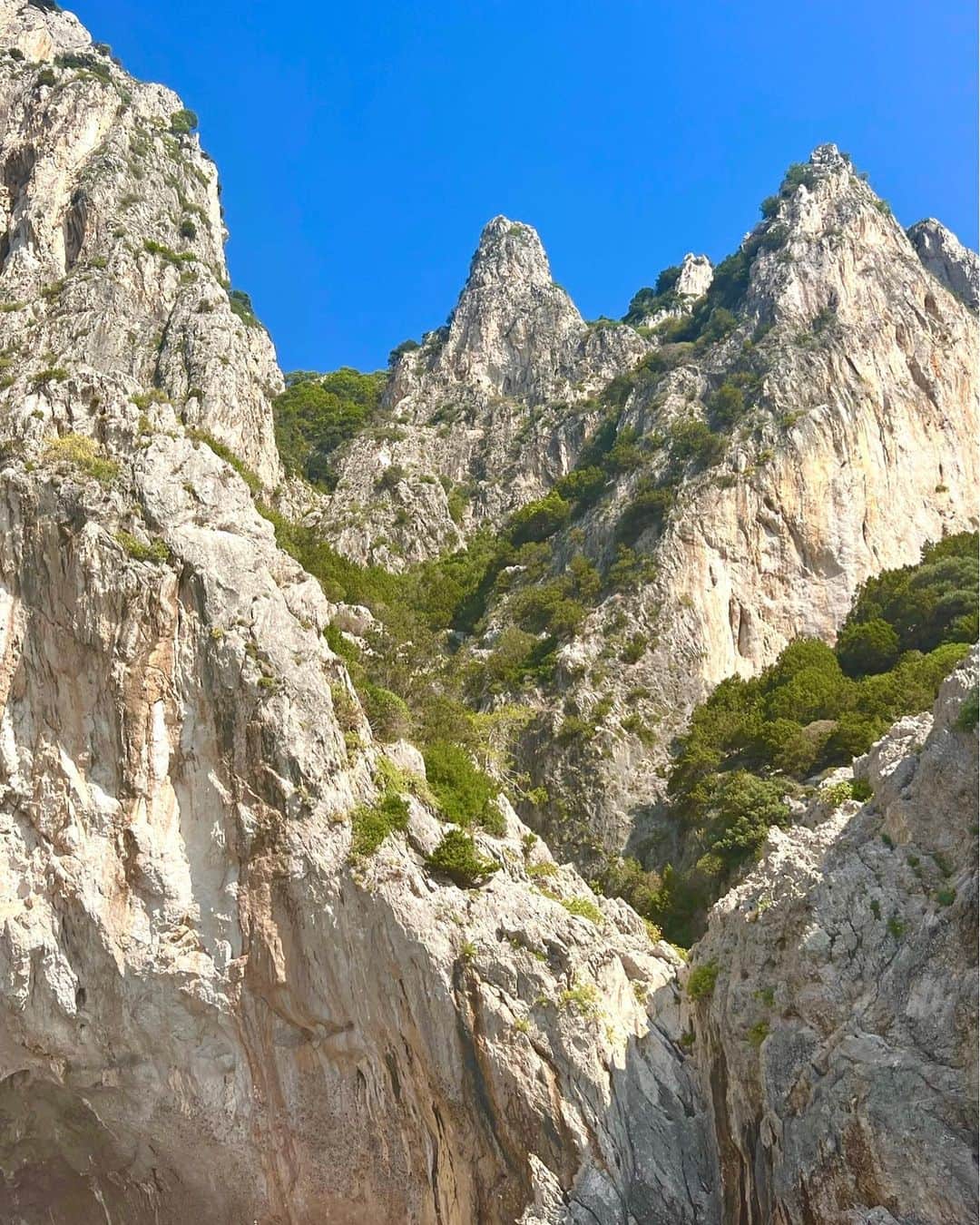 ジュリ・インクスターさんのインスタグラム写真 - (ジュリ・インクスターInstagram)「Got to tour Praiano, Positano, & the Island of Capri by boat instead of walking those stairs. #energyefficient #crushinit #boatbar」10月6日 5時43分 - juliinkster