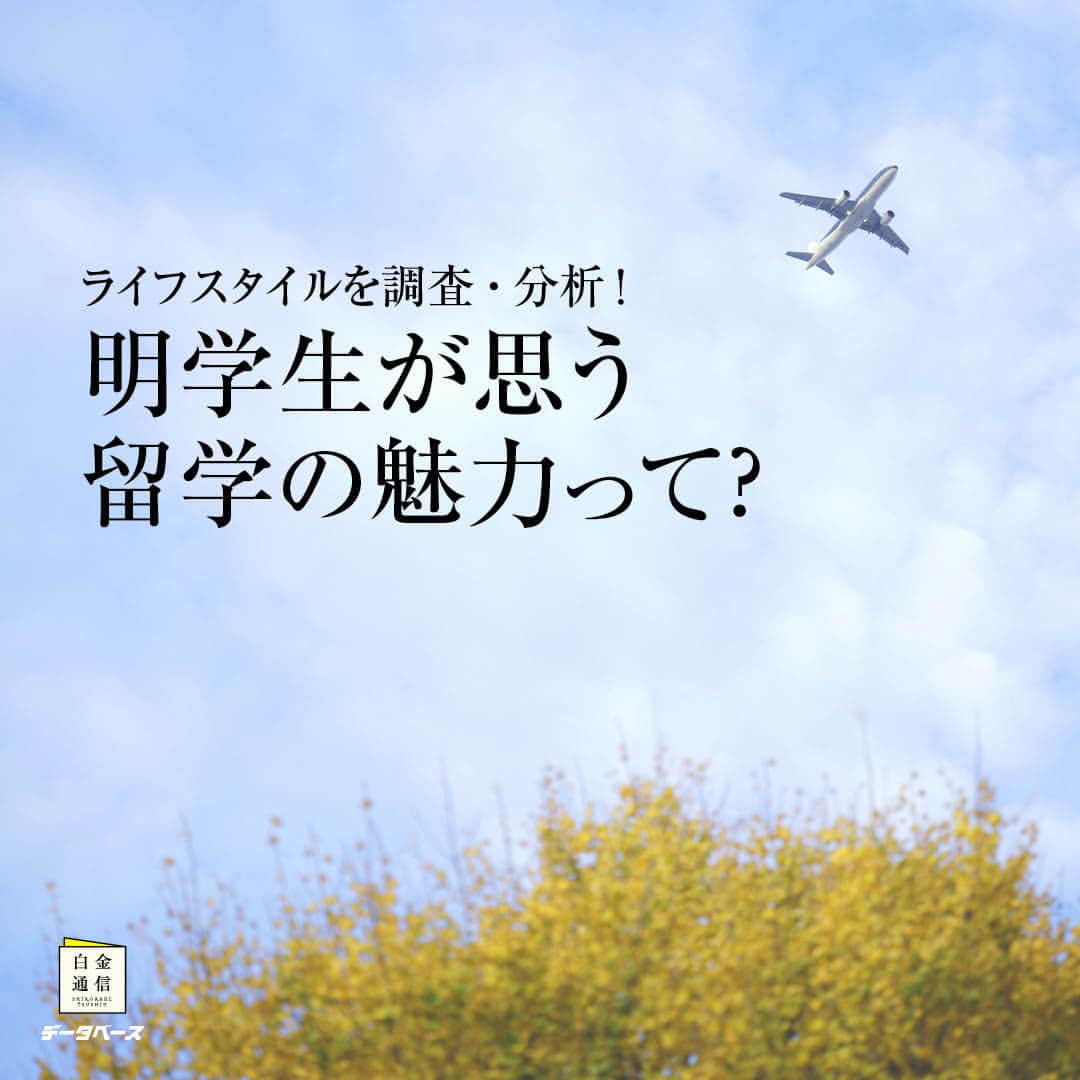 Meiji Gakuin/明治学院大学/明学さんのインスタグラム写真 - (Meiji Gakuin/明治学院大学/明学Instagram)「🔍”明学生データベース”💭  大学広報誌『白金通信』の人気連載企画❣️ 明学生のライフスタイルを調査、分析するコーナーです。 秋号のテーマは、「明学生と留学」🌍ㅤㅤㅤㅤㅤㅤㅤㅤㅤㅤㅤㅤㅤ 留学の魅力や情報の仕入れ方など、 留学を考えている人や、 国際交流に興味がある人は必見です🧐 ㅤㅤㅤㅤㅤㅤㅤㅤㅤㅤㅤㅤㅤㅤㅤㅤㅤㅤ ぜひチェックしてみてくださいね💡  『白金通信』はポートヘボンでも公開しています！ ポートヘボン＞学生生活から Wi-Fi環境下でダウンロード▼  ※『白金通信』は、在学生・保証人・教職員を対象とした大学広報誌(年4回発行)です。 一般の方向けに定期購読も受付中。 詳細は、プロフィール( @mguniv )のURLにてお知らせしています。  #明治学院大学 #白金キャンパス #横浜キャンパス #白金 #横浜 #戸塚 #白金通信 #明学生データベース #明学生 #留学 #明学ライフ #mgu #大学生活 #秋学期もがんばろう #秋学期 #学生生活 #キャンパスライフ #明学 #明治学院 #大学 #授業 #大学広報誌 #meijigakuinuniversity #meijigakuin #university #meigaku #photography #photographer」10月6日 11時00分 - mguniv