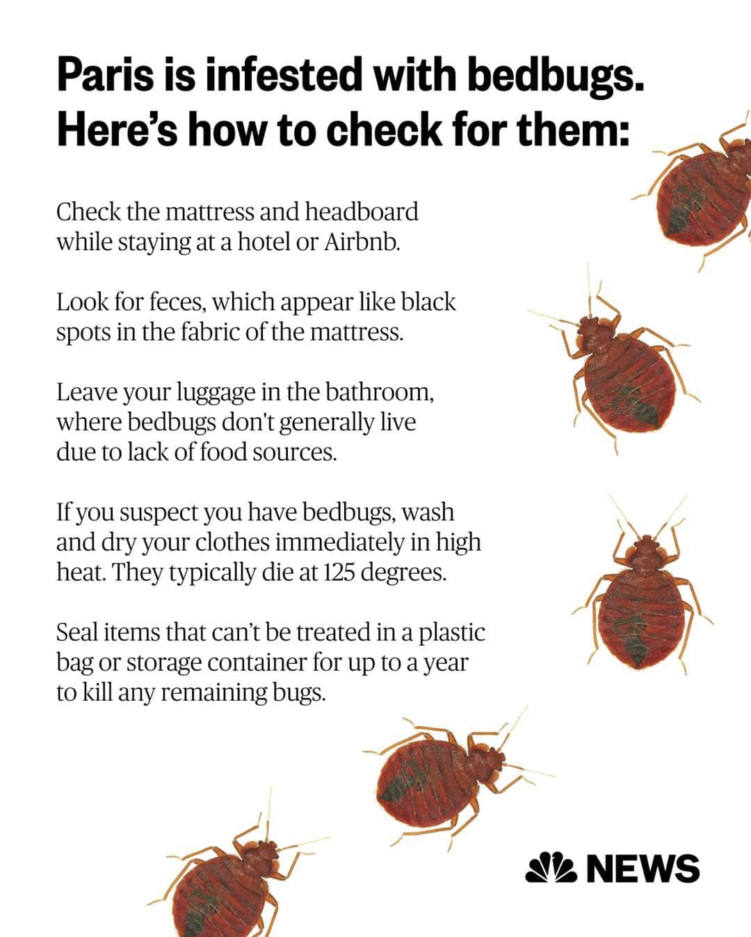 のインスタグラム：「Many people online are worried about sleeping tight after recent news of a bedbug infestation in Paris. But exterminators — some who have built large followings online for their pest advice — say bedbugs have been, and always will be, around.  Heightened bedbug fears permeated TikTok this week as U.S. influencers began flying home from Paris Fashion Week, which ended Tuesday.   Bedbugs are “hitchhikers” that latch onto fabric and wood, which is often how they get into homes, according to Jossue Rivas, an exterminator.   On average, it takes three months for people to notice they have an infestation, he said. Bedbug eggs and nymphs can be too small to initially notice.  Their small and narrow bodies enable them to squeeze into tiny spots, like the seams of a mattress or couch and the folds of curtains.  Read more at the link in bio.」