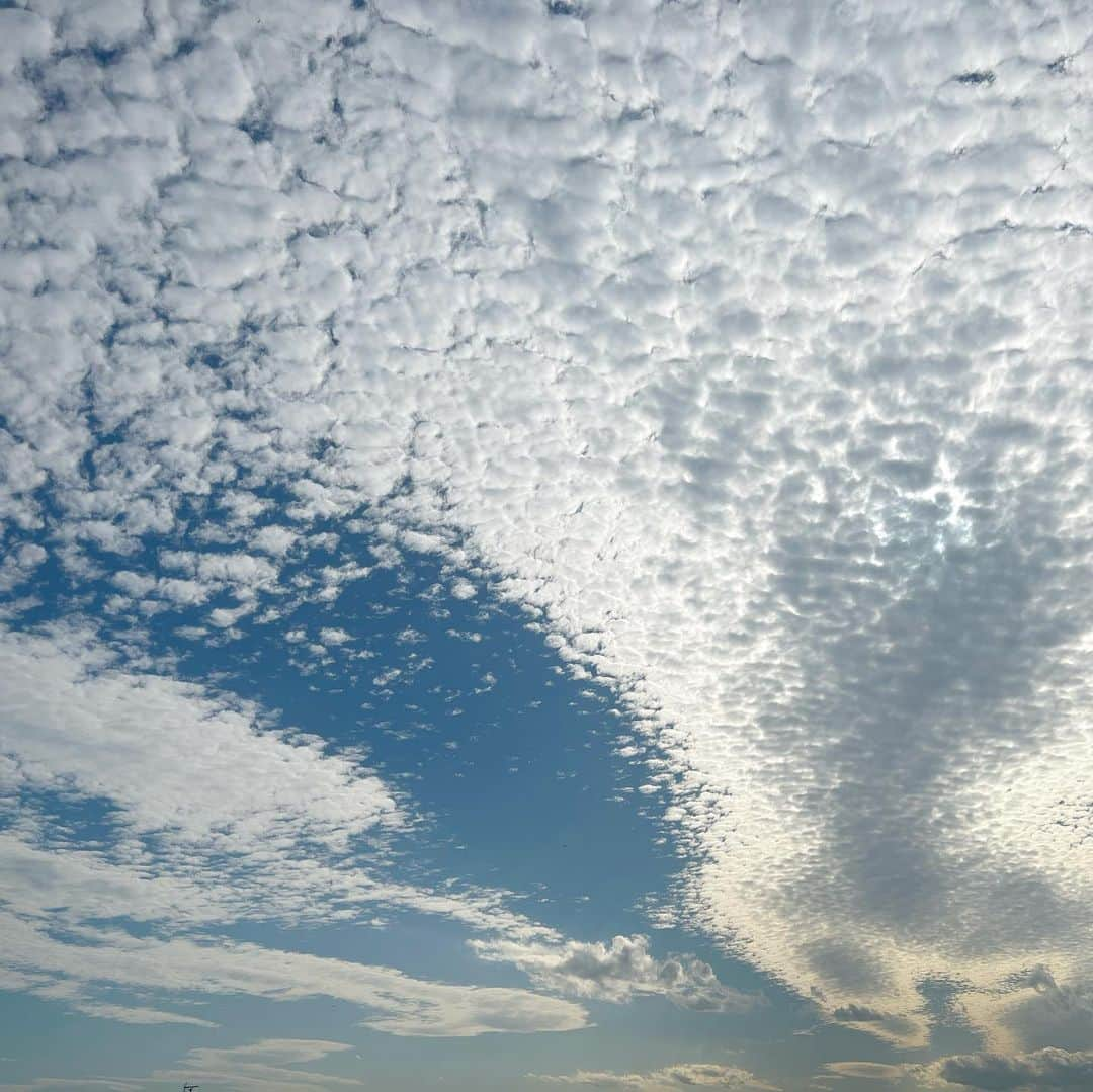 新保里歩さんのインスタグラム写真 - (新保里歩Instagram)「秋の空たち…🌤️📷  だいぶ涼しくなりましたね🍂☺︎」10月5日 20時51分 - riho_shinbo0714