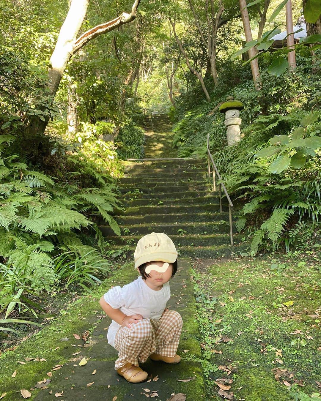 井村亜里香のインスタグラム：「suiとお寺めぐり。 妙法寺の苔石段を見てきました🌳 @yokohama_myohoji   見頃は4月〜6月みたいなのだけど 10月でもとても神秘的で美しかった✨  滑りやすい急な階段を何段も登るのでスニーカー必見👟 suiを抱っこしながらの登り降りは 太ももやられた🥹笑  でも頑張って登った先には 絶景が待っています✨  鎌倉にはまだまだ知らない場所がたくさん！ 時間をかけてもっと深く知りたい🫧  #kamakura#myohouji#spiritual #kamakuratemple#kamakurajapan  #鎌倉#鎌倉寺巡り#鎌倉観光  #鎌倉散歩#娘とデート  #娘とおでかけ#パワースポット  #スピリチュアル」