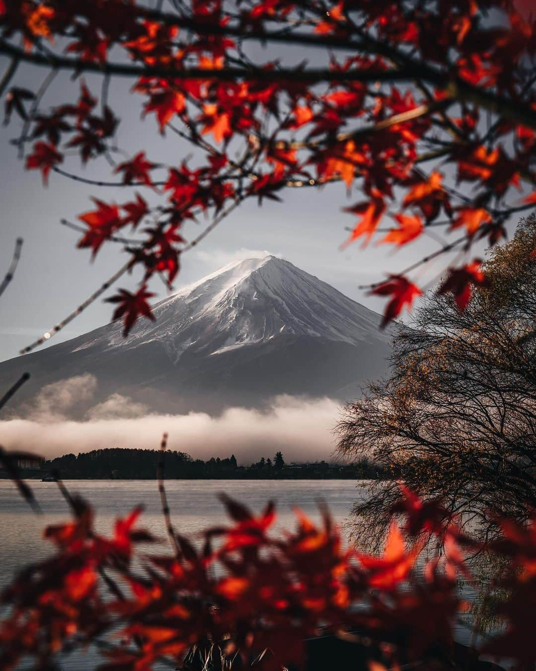 R̸K̸さんのインスタグラム写真 - (R̸K̸Instagram)「Autumn Vibes in Japan ・ 1. Ibaraki 2. Kyoto 3. Aomori 4. Yamanashi 5. Yamaguchi 6. Osaka 7. Nagano 8. Aomori 9. Kyoto 10. Kyoto or Nara ・ #beautifuldestinations #earthfocus #earthbestshots #earthoffcial #earthpix #thegreatplanet #discoverearth #roamtheplanet #ourplanetdaily #nature #tentree #theglobewanderer  #voyaged #sonyalpha #bealpha #travellingthroughtheworld #lonelyplanet #modernArchitect #onlyforluxury」10月5日 21時00分 - rkrkrk