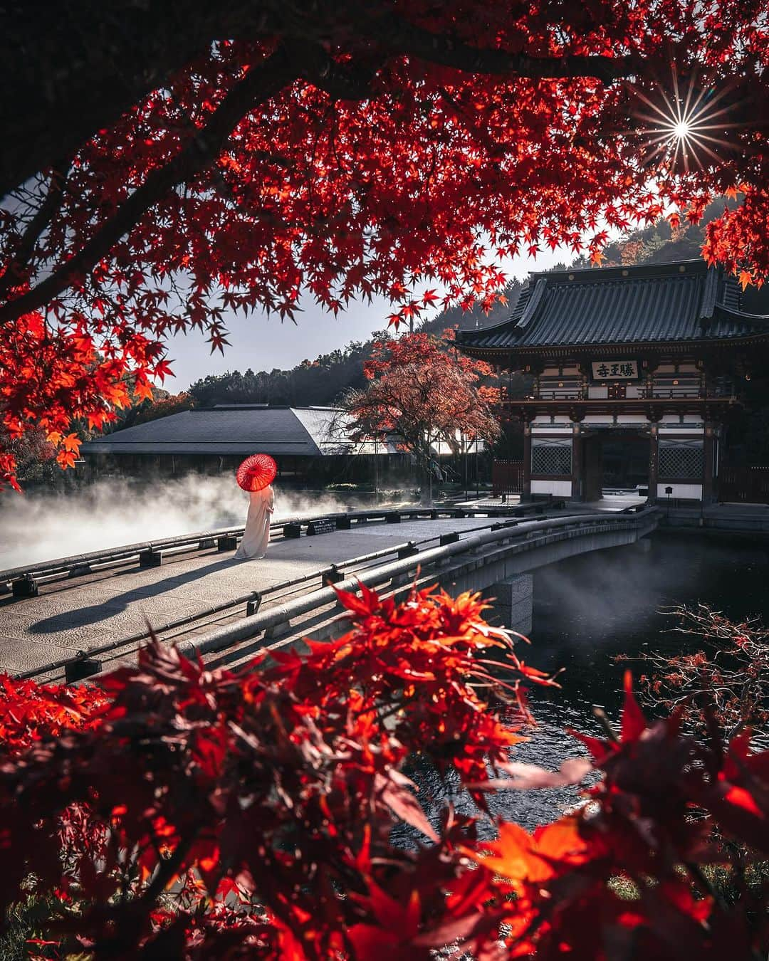 R̸K̸さんのインスタグラム写真 - (R̸K̸Instagram)「Autumn Vibes in Japan ・ 1. Ibaraki 2. Kyoto 3. Aomori 4. Yamanashi 5. Yamaguchi 6. Osaka 7. Nagano 8. Aomori 9. Kyoto 10. Kyoto or Nara ・ #beautifuldestinations #earthfocus #earthbestshots #earthoffcial #earthpix #thegreatplanet #discoverearth #roamtheplanet #ourplanetdaily #nature #tentree #theglobewanderer  #voyaged #sonyalpha #bealpha #travellingthroughtheworld #lonelyplanet #modernArchitect #onlyforluxury」10月5日 21時00分 - rkrkrk