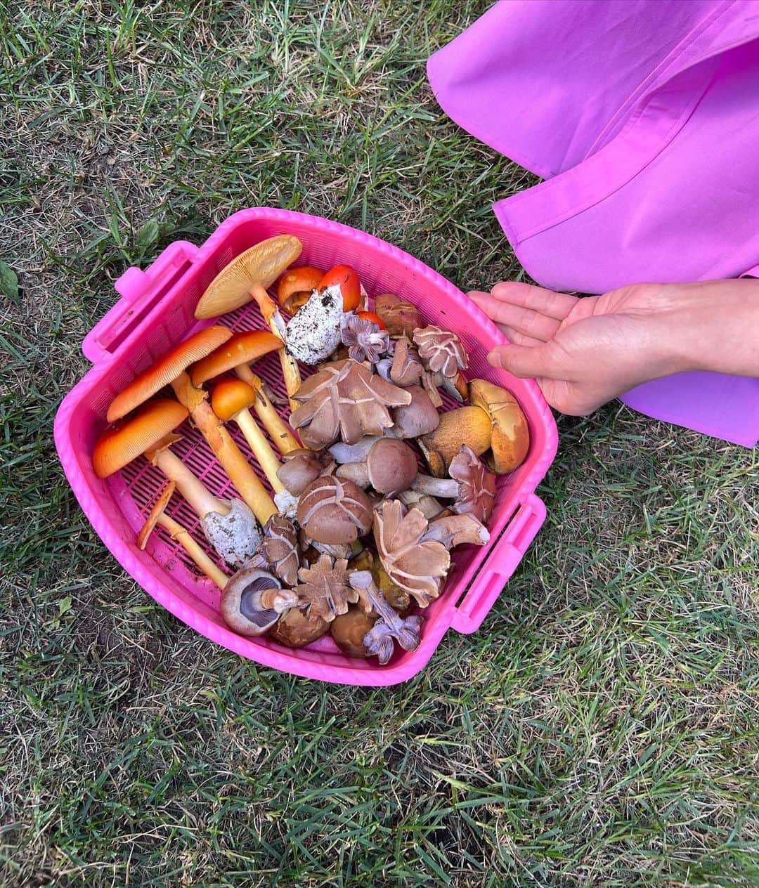 瀬畑茉有子のグルメインスタ