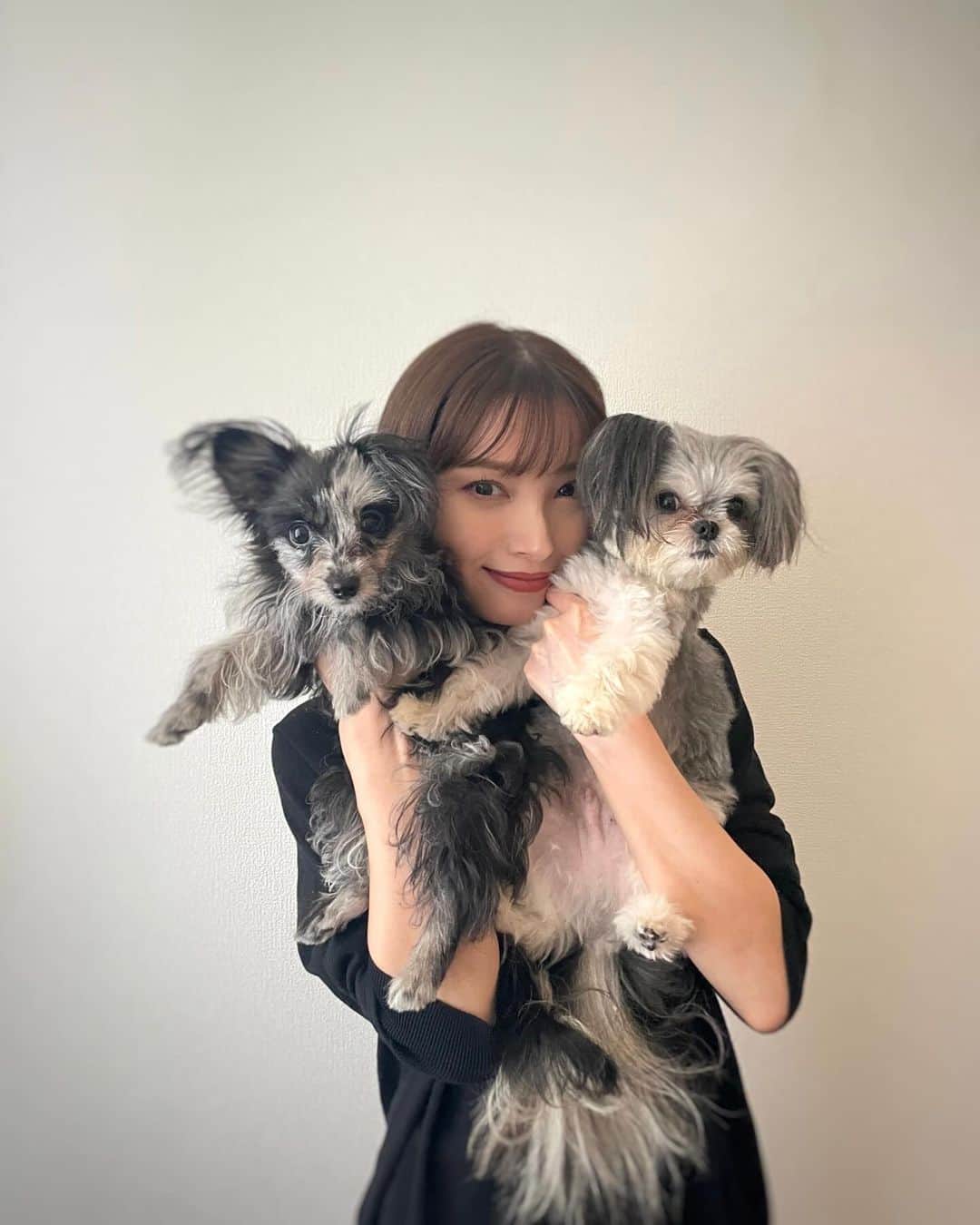 谷川菜奈のインスタグラム：「最近の🐶🐕 ルアちゃんすくすく成長中です🤍」