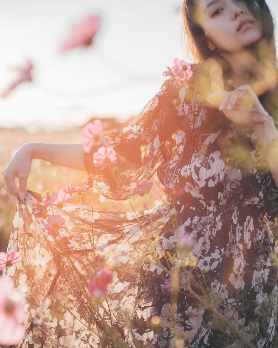 haru wagnusのインスタグラム：「Full blooms and fully in my hands  ㅤㅤㅤㅤㅤㅤㅤㅤㅤㅤㅤㅤㅤ ㅤㅤㅤㅤㅤㅤㅤㅤㅤㅤㅤㅤㅤ 手を広げて、愛しく抱いた分だけ 両手に幸せは残っていくね。 ㅤㅤㅤㅤㅤㅤㅤㅤㅤㅤㅤㅤㅤ ㅤㅤㅤㅤㅤㅤㅤㅤㅤㅤㅤㅤㅤ #ザ花部  ㅤㅤㅤㅤㅤㅤㅤㅤㅤㅤㅤㅤㅤ #コスモス #コスモス畑 #cosmosflower #cosmosflowers」