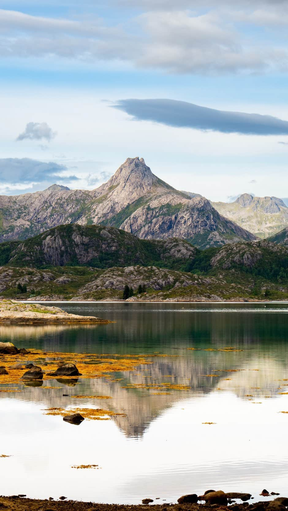 クリス・バーカードのインスタグラム：「Deep in the Arctic circle on an assignment for @nuii_icecream_global to hunt for elusive berries & bike packing? Count me in... The Lofoten Archipelago is full of surprises but this little berry made for a tasty tour of the landscape accompanied by my good friend @navajomylo ... who I was excited to share this corner of the world with after all of our adventures in the Southwest. After several days fuelled by juicy blueberries, stained teeth, and ice cream all under summer skies, I felt pretty lucky with what turned into a pretty magical week. #sponsored」