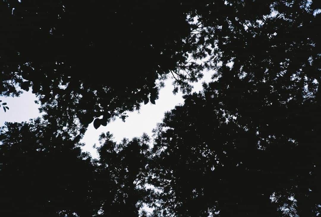のインスタグラム：「. #えりのフィルム」