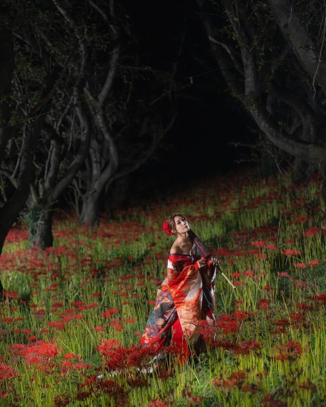 八反美咲さんのインスタグラム写真 - (八反美咲Instagram)「初めての彼岸花撮影🥰  こんなにたくさん咲いてるのを見るのも初めてでした 彼岸花は怖いイメージがあったけど そんなことなくてとっても美しくて綺麗でした  来年は満開に咲いた真っ赤な絨毯が見たいな☺️  #彼岸花 #彼岸花ポートレート #ポートレート #作品撮り #花魁 #着物 #モデル」10月5日 21時59分 - misaki_hattan