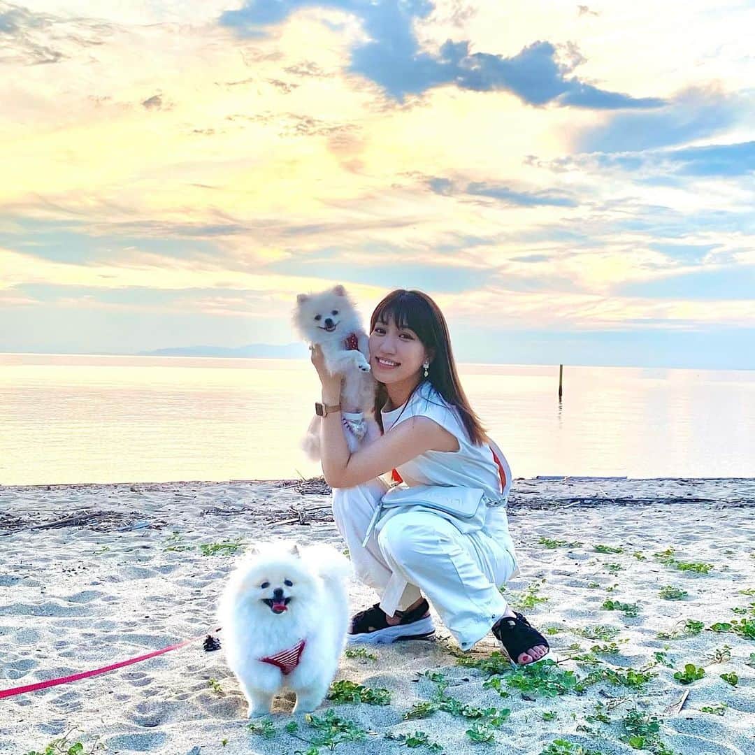 松崎莉沙のインスタグラム：「🌅  寒くて驚いているので すっかり季節外れになってしまった夏の想い出を 急いで投稿いたします🏃🏻‍♀️ (1枚目、逆光で暗すぎたのを無理矢理明るくしたので 画質悪すぎ〜！です)  写真映えするこはる姉さん。 下におろすと石とかを食べようとしちゃうので 常に抱っこなさくらさん。  #淡路島 #海 #夏 #淡路島旅行 #浜辺 #ポメラニアン #awajishima  #awajiisland  #japan #japantrip #sea #photo #portrait #photobyiphone #dog」