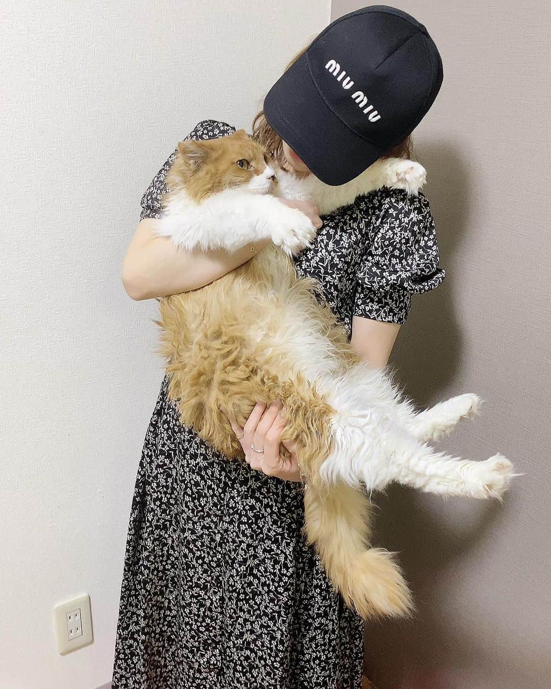 千咲まりさんのインスタグラム写真 - (千咲まりInstagram)「. 9/28愛猫のシャーロット・タマが 天国へ旅立ちました🐈🌈 6､7歳でしたが4歳で保護した時からキャリア持ち だったので発症してしまったのかもしれませんね… 理由あってしばらく離れていた為、本当に突然でした。 もう少し前に連絡貰えてたらすぐに治療したのに。 もっと一緒に居たかったし、最後まで側に居たかった。 ガリガリに痩せていて体重も保護した時の約半分に なっていて毛も抜けて面影すらなくなってました。 最後は出会った場所でお別れしました。 地域の方もお花を沢山持ってお見送りに来て下さり 無事にお空へ旅立ちました。  本当にシャロちゃんは私に心を許してくれてたのに ごめんねって気持ちでいっぱいです。 昨日は初七日だったのでお線香あげてきました。  シャロちゃんのことを気に掛けて下さっていた皆様、 応援して下さっていた方々、本当にありがとうございました。  しばらく更新できず申し訳ございませんでした。  #保護猫 #さくらねこ #さくら猫 #地域猫  #りんご猫 #りんごねこ #猫エイズキャリア #長毛種」10月5日 23時09分 - marilyn_ooguikoakuma