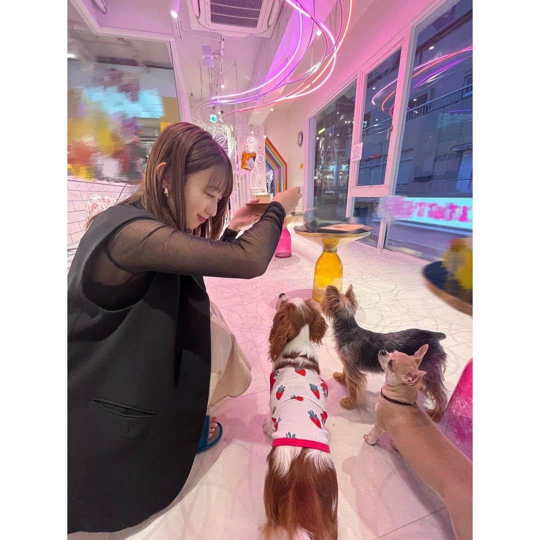 冨田菜々風さんのインスタグラム写真 - (冨田菜々風Instagram)「.  ここちゃんと遊んだよ〜〜！！🫶  前から大好きでしたが、もっと大好きになっちゃいました！  BEYOOOOONDSさんの前田こころちゃん😸💓 可愛くていっぱいここちゃんの写真撮ってしまいましたああああああああ！みんないっぱい見てね〜〜！」10月5日 23時22分 - tomita_nanaka