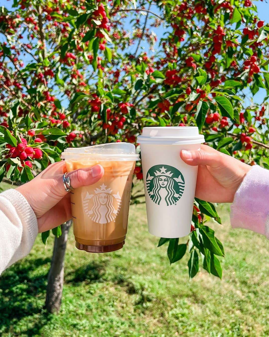 Starbucksのインスタグラム：「👻: team iced 🍁: team hot Created with @thefitcookie」