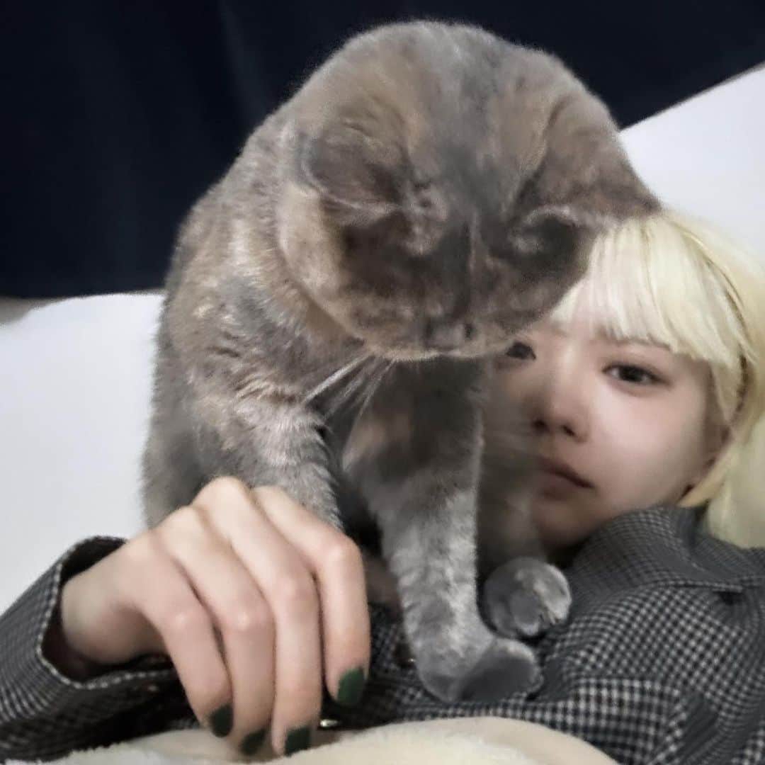 葉菜子のインスタグラム：「#モスがいると動けない」