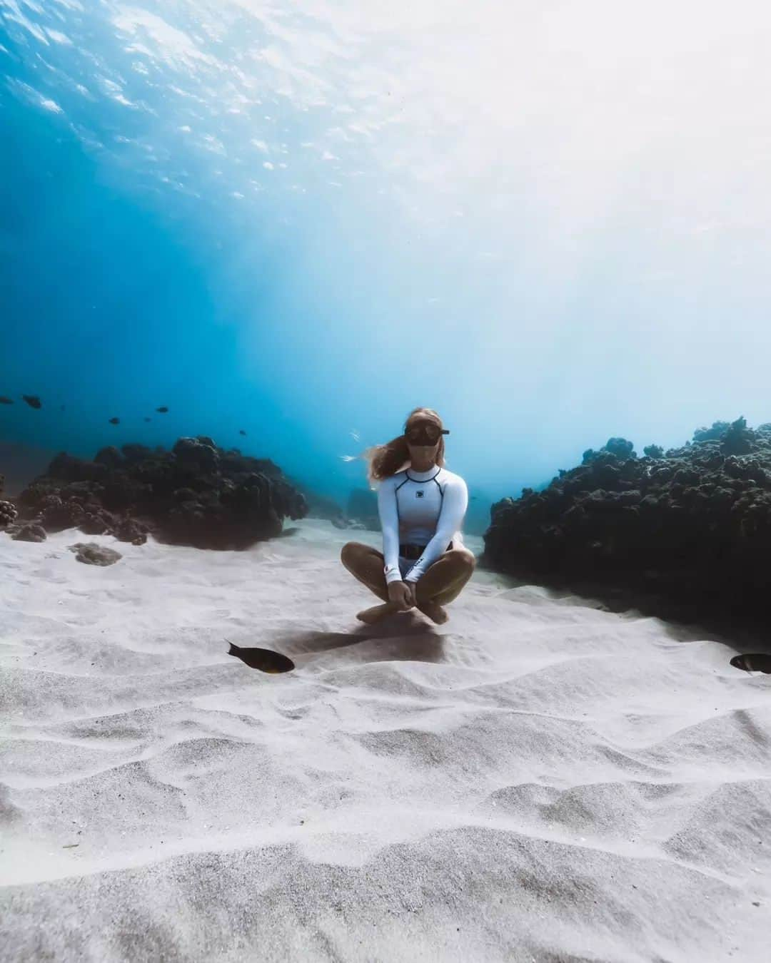 フリースタイルさんのインスタグラム写真 - (フリースタイルInstagram)「Dive in with your @freestylewatches 💦 ! Stylishly keeping time for all your underwater adventures - whether surfing 🏄 snorkeling 🤿🫧 or just playing in the sea 🌊    🦈: #sharkwatch Octopus 📷: @nikakuzphoto x @nikainnature x @kaitlyn_reitz _ #myfreestylewatch #underwaterphotography #dive #diving #underthesea #sealife #watchoftheday #instagood #beachliving #watchaddict」10月6日 0時35分 - freestylewatches