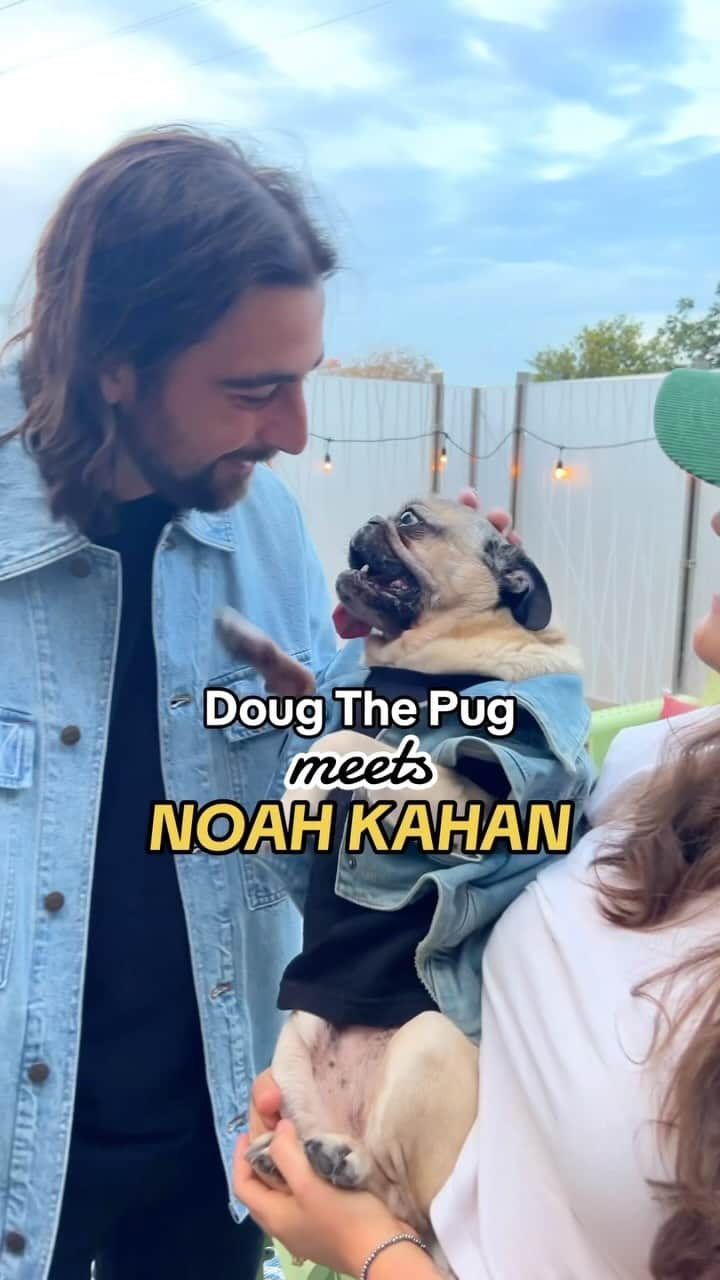 itsdougthepugのインスタグラム：「Doug and @noahkahanmusic forever!!!   #noahkahan #dogsofinstagram #dougthepug #stickseason」