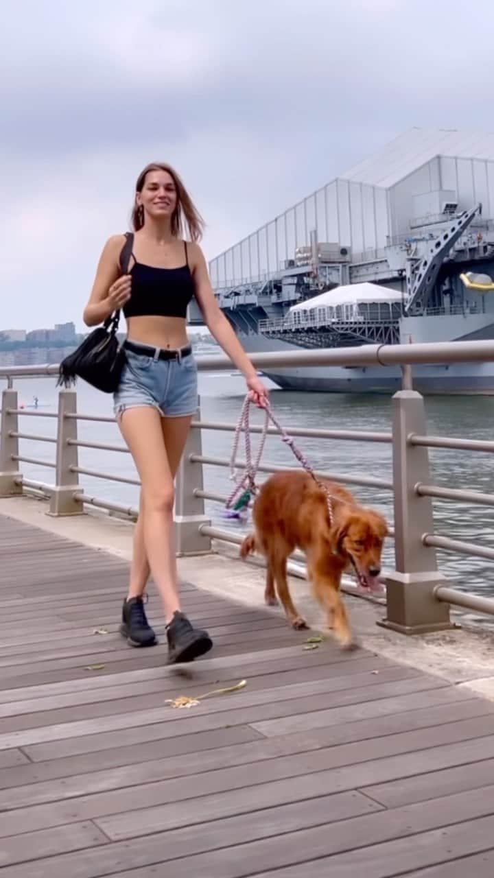 サマンサ・グラドヴィルのインスタグラム：「It’s the dog mom life for me 🐶 #nyc #goldenretrieverlove」