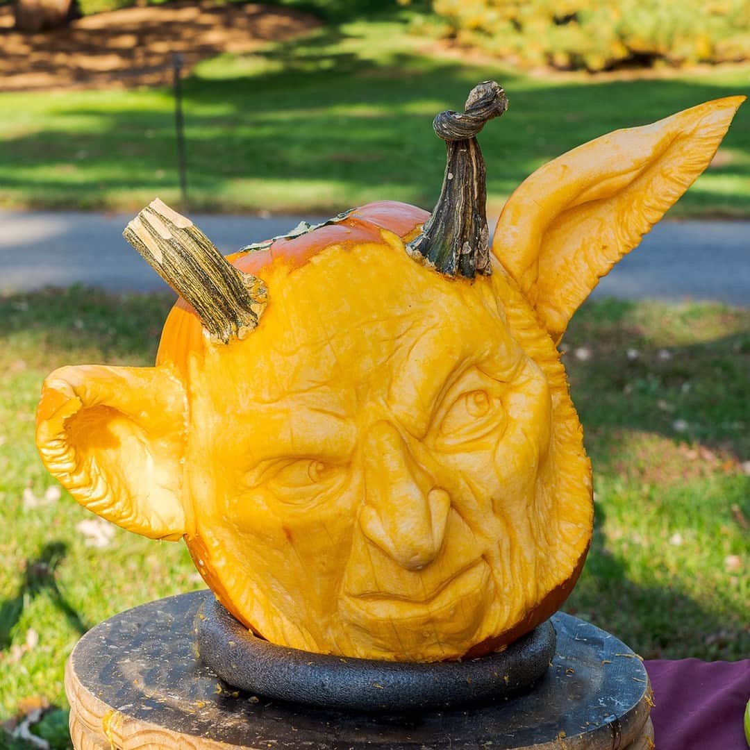 ニューヨーク植物園のインスタグラム：「Pumpkin carving is a true art, and this Sunday, we're taking it to the next level with three of the country's best carvers in a face-off unlike any other! 🎃  Now in its third year, join us on October 8 for our annual carving competition hosted by our Fall-O-Ween sculptor extraordinaire, @adambierton. Three master carvers (@johndavis_art, @stephen_junceau_art, and @lennycalvincreations) will go head to head to create frightful faces and miraculous monsters from everyday pumpkins—and we let you be the judge.  Hit the link in our bio to get your tickets and learn more about this year's competitors, and don't forget to bring your loudest cheers as we head into the long weekend!  #FallOWeen #PumpkinCarvingFaceOff」