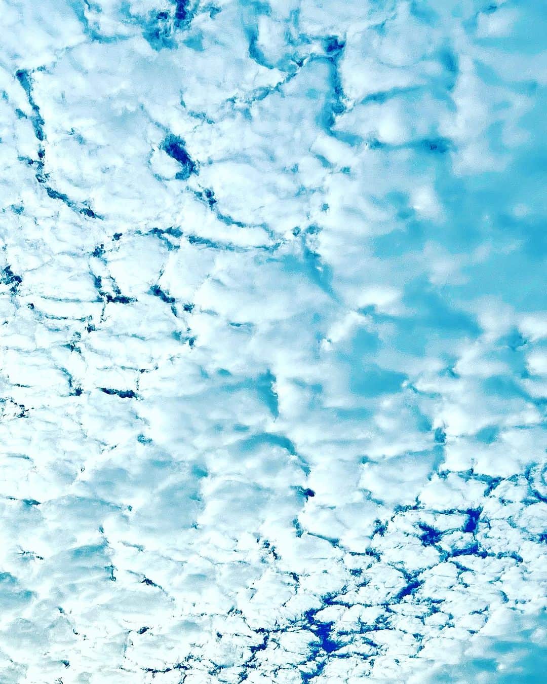 世良公則さんのインスタグラム写真 - (世良公則Instagram)「・・・・・・  昨日の雲  いい季節がやって来る予感・・  なのに、今日はまたまた強烈な日差し  翻弄される日々  ・・・・・・  #世良公則 #masanorisera #japaneseartist #japaneseculture #雲 #季節」10月6日 13時59分 - masanorisera