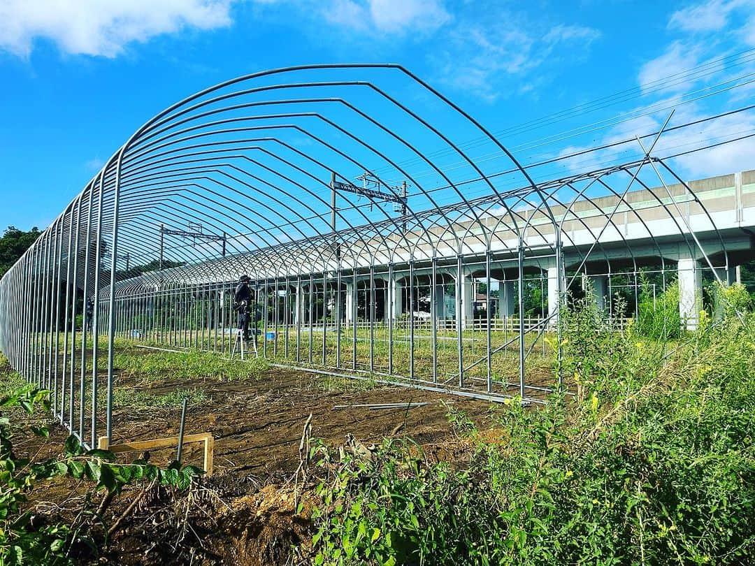 三ツ間卓也のインスタグラム：「🍓  🚧三ツ間農園ハウス建設👷‍♂️  #三ツ間農園#横浜いちご#いちご狩り#白いちご#ピンクいちご#元プロ野球選手#中日ドラゴンズ#逃走中#代打三ツ間#딸기#草莓#fresa#少年野球#高校野球##大学野球#社会人野球」