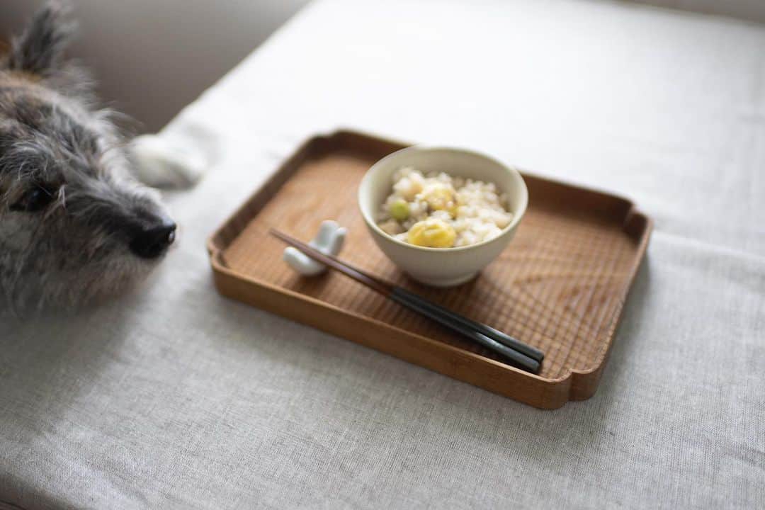 Naomiのインスタグラム：「栗仕事はじめは @gohan_hibari さんレシピの栗ご飯。」