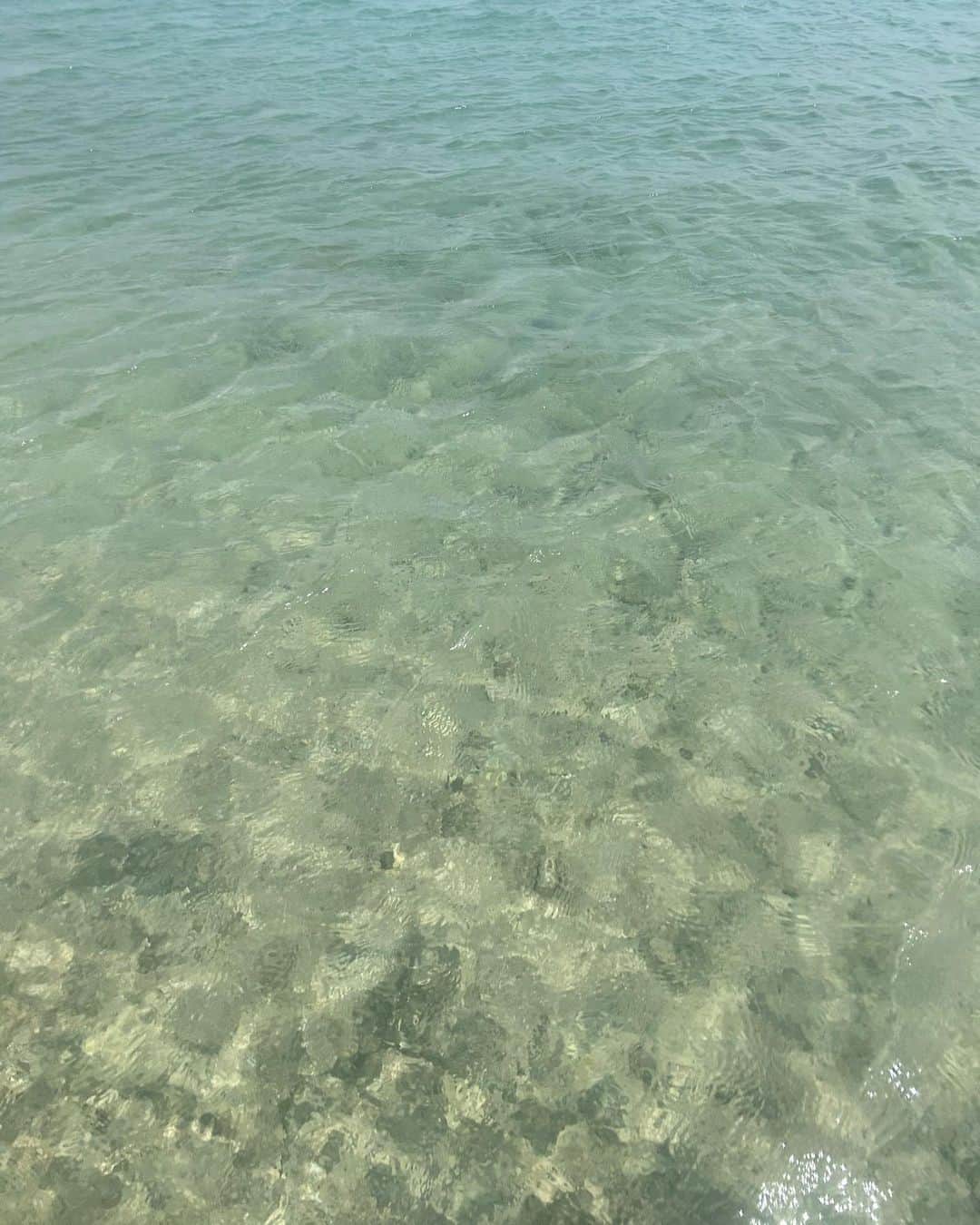 安藤咲良のインスタグラム：「夏の思い出☀️」