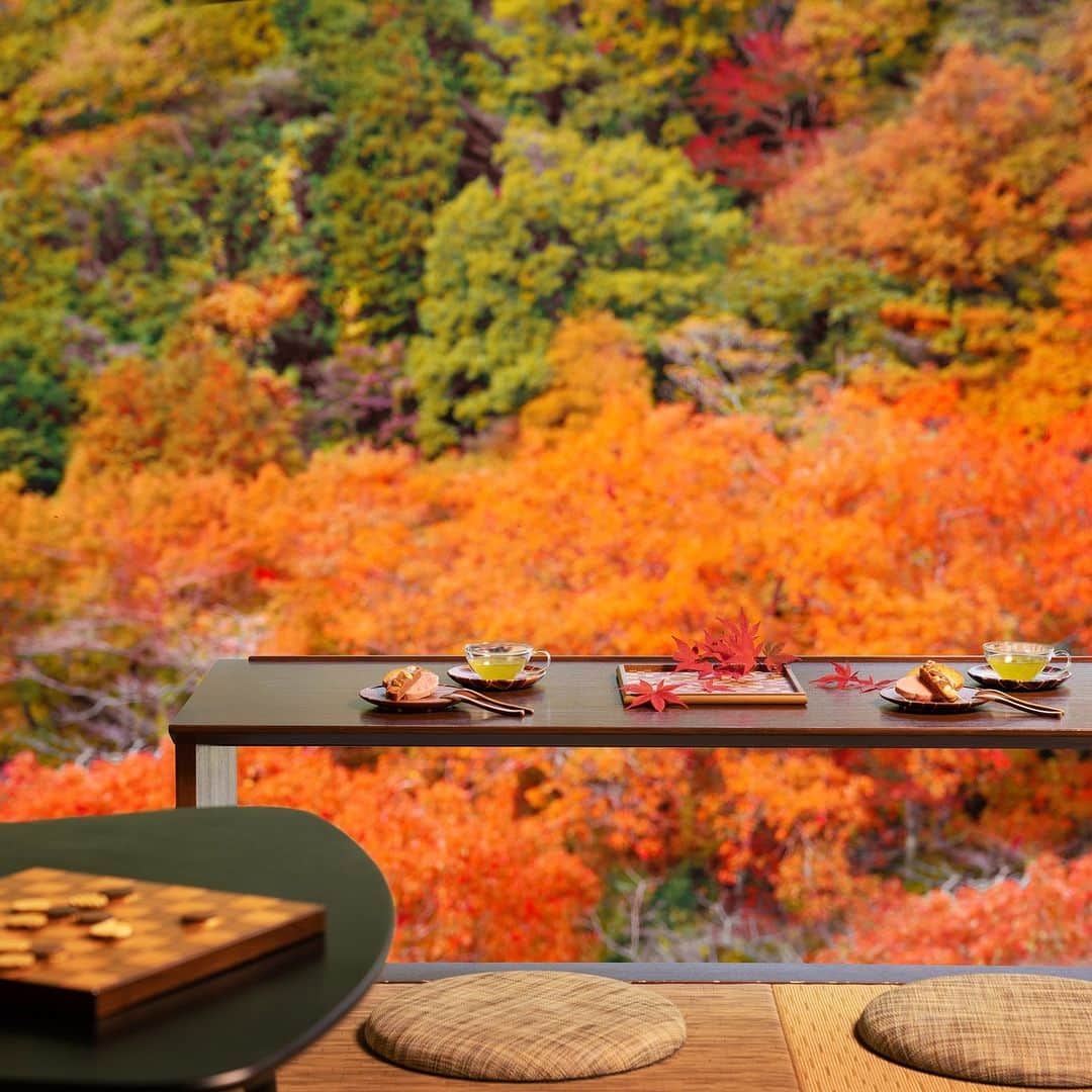 星野リゾート 界の若者旅さんのインスタグラム写真 - (星野リゾート 界の若者旅Instagram)「神奈川県箱根町の山々は10月から11月にかけて紅葉の見頃を迎えます。箱根の山は多様な樹木が生えており、赤や黄色、緑の鮮やかな秋色のグラデーションを箱根エリア全体で堪能いただけます。界 箱根からの湯坂山の秋の彩りをお楽しみください。  The mountains of Hakone Town in Kanagawa Prefecture are at their best from October to November when the autumn colors are in full bloom. The mountains of Hakone are home to a wide variety of trees, and the entire Hakone area offers a vivid gradation of red, yellow, and green autumn colors. Please enjoy the autumn colors of Yusaka Mountain from KAI Hakone.  #星野リゾート #界 #界箱根 #箱根 #箱根湯本温泉 #温泉 #温泉旅館 #温泉旅行 #紅葉 #hoshinoresorts  #kai #kaihakone #Japantravel #hotsprings #onsen #ryokan #kanagawa #hakone #autumn #leaves #mountain」10月6日 7時00分 - hoshinoresorts.kai