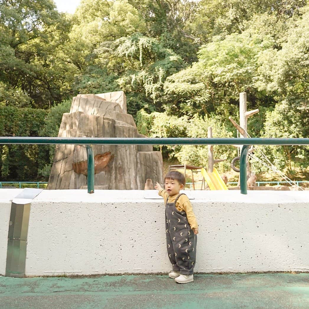 mai1220のインスタグラム：「うききおった！🐒って言うてます😂 福岡市動植物園めっちゃ好きなんやけど駅からの道含め坂多すぎて辛い🥹 ベビーカーは結構過酷笑 でもめっちゃ楽しそうにしてるからまた行く😇 ⁡ いつも寝る前に今日はどんなことがあったか聞くんやけど キリン！黄色いガオー！（🐯）電車ー！って言ってた👏 電車は乗ってない👌 ⁡ ⁡ 👦🏻88cm 12.3kg @organiczoo ⁡ Charcoal Midnight Dungarees 2-3y ⁡ #1y10m #男の子ママ #福岡ママ #男の子ママコーデ #男の子コーデ #公園デート #福岡市動植物園 #動物園 #福岡子連れスポット #福岡市動物園 #organiczoo」