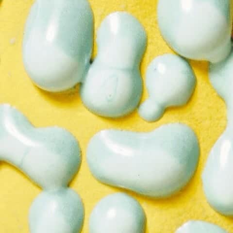 セス・ローゲンのインスタグラム：「Gloops and Globs from Houseplant」