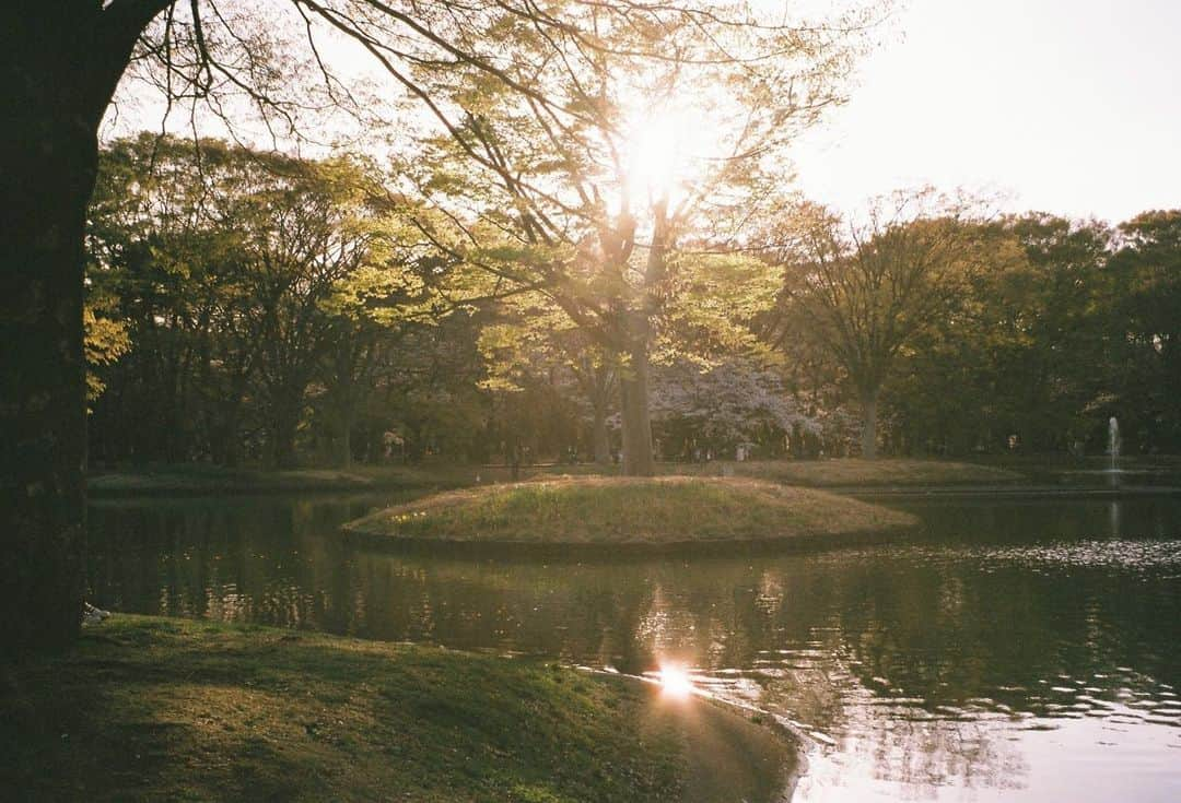 白石優愛さんのインスタグラム写真 - (白石優愛Instagram)「#film   おはようございます。 本日は、荷物を全て家に置いてきてしまってのスタートです。  なぜなのでしょうか？」10月6日 7時47分 - yua_shiraishi_