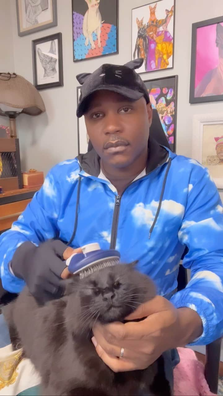 MSHO™(The Cat Rapper) のインスタグラム：「Welcome Back to the safe space, we love you and that’s all we really have to tell you. Thanks for being here and loving your cats. COMMENT! If you would like to see MORE. Have a great day #TheCatRapper #BlackSavage #ASMR #CatMan #CatMom #CatDad #Relax #Zen #Meditation #MoGang」