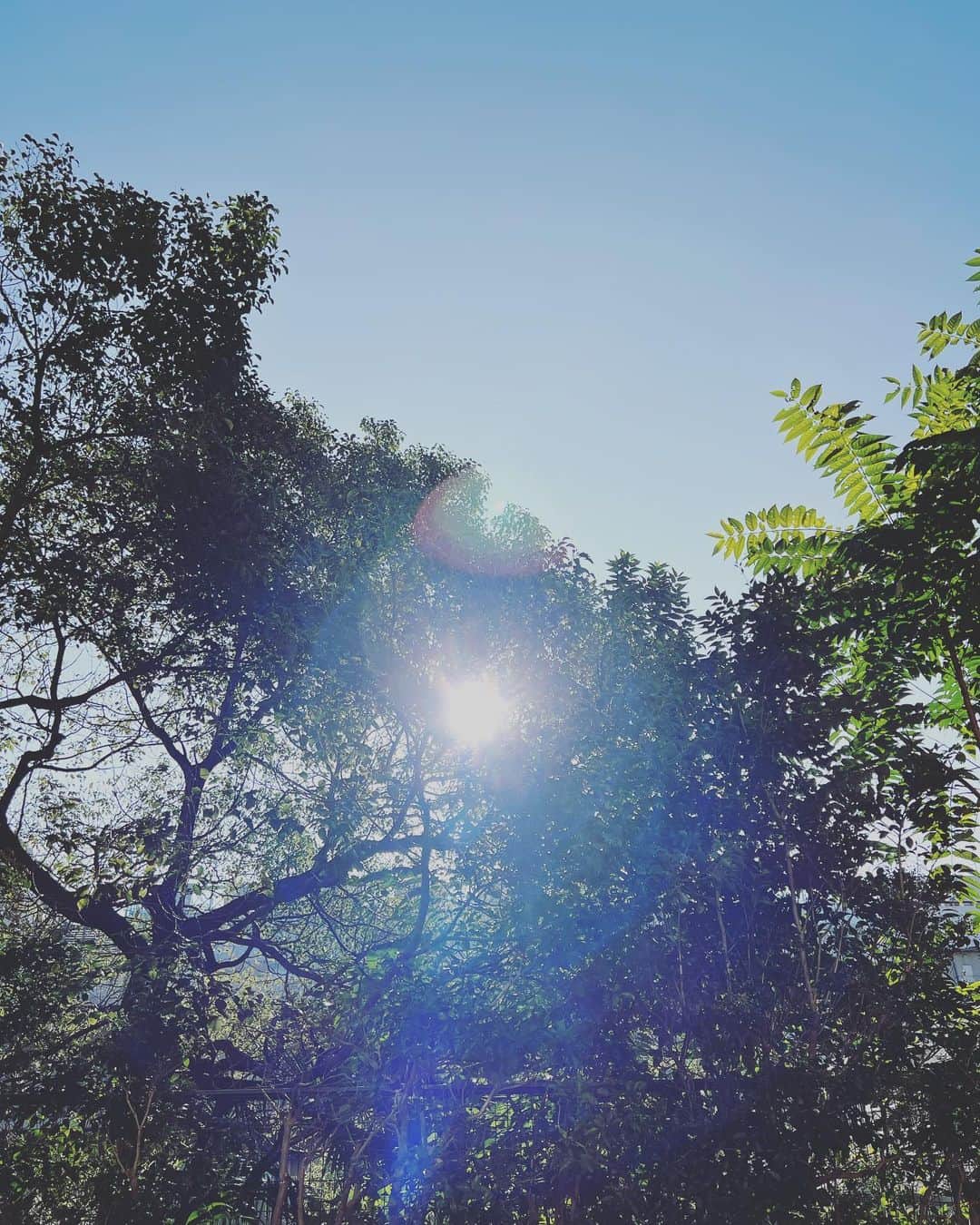 椎名直子さんのインスタグラム写真 - (椎名直子Instagram)「めちゃんこ気持ちいいな」10月6日 8時07分 - natadecoco
