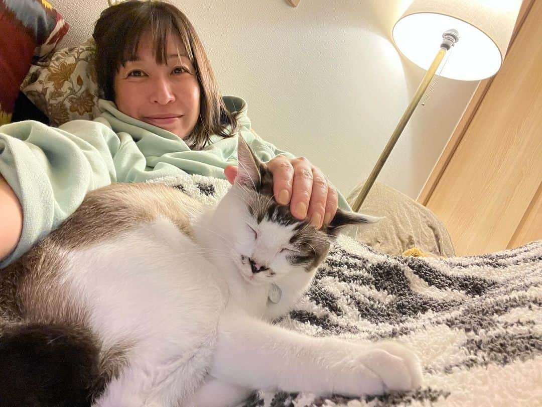 小野真弓さんのインスタグラム写真 - (小野真弓Instagram)「おはにゃー😆🐾 ねむねむ、ナナちゃんにゃ😪🎀  今朝は さわやか〜空気ひんやり晴天☀️✨ 気持ちが良い朝だにゃん☺️🍃  おかーさん、猫グッズ爆買い😆  マリ様そっくり〜🐻‍❄️💘 と思ったスニーカー👟 並べてみたら、、 やっぱりそっくり〜😆😆💘💘✨ おかーさんには、もう マリ様グッズにしか見えにゃい😆  犬猫グッズ どんどん増える〜🙋‍♀️😆 わんにゃん活動の時は、 動きやすい、わんにゃんモチーフルック☺️🐕🐈👚🐾  今日は、おかーさん トリマーモード😆 頑張ってきまーす💪✨  今日も良い一日を〜🍀  🐯#ねむねむナナちゃん 🦝#かわうそハナちゃん 🐯🐼#まったりアオちりん 🐈‍⬛#ごきげんくーちゃん 🐏#かまちょハルくん 🐻‍❄️#そっくりマリさま  #犬と猫のいる暮らし#犬猫日記  #ハナちゃん今日の調子⤴️💕 #一進一退#一喜一憂#シニア犬」10月6日 8時43分 - hanaharuaroi