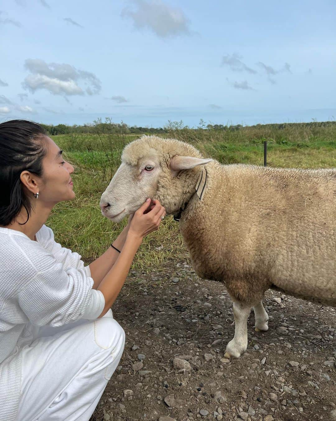 瀬畑茉有子さんのインスタグラム写真 - (瀬畑茉有子Instagram)「. 北海道で出会った動物達🐎🐏🐕 . . ①②ペットとして飼われてる人懐っこい羊🐏 ③④人間大好きハンター犬🐕 ⑤⑥細長い草しか食べない美食家ロバ🫏 ⑦⑧メムアースの敷地内に飼われてる美しい馬達🐎 . . 次はどの土地と国に行けるかな〜🥳 . . #travelphotography  #animallovers  #animalphotography  #hokkaido  #naturelovers  #healingtime  #半田ファーム #牧場  #北海道 #帯広 #大樹町」10月6日 9時09分 - sehatamayuko