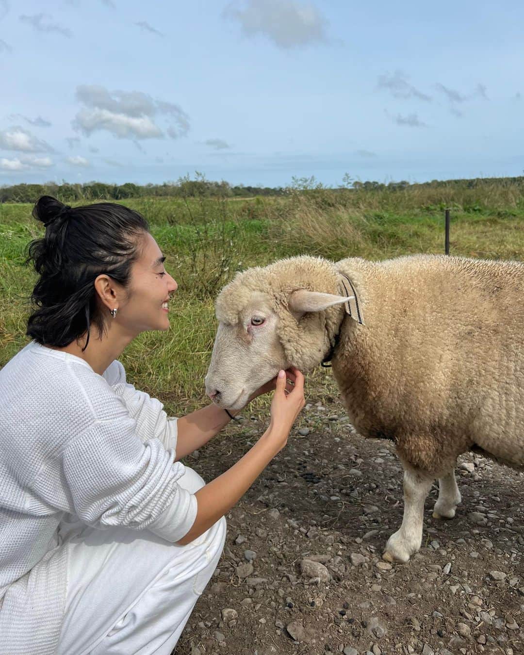 瀬畑茉有子さんのインスタグラム写真 - (瀬畑茉有子Instagram)「. 北海道で出会った動物達🐎🐏🐕 . . ①②ペットとして飼われてる人懐っこい羊🐏 ③④人間大好きハンター犬🐕 ⑤⑥細長い草しか食べない美食家ロバ🫏 ⑦⑧メムアースの敷地内に飼われてる美しい馬達🐎 . . 次はどの土地と国に行けるかな〜🥳 . . #travelphotography  #animallovers  #animalphotography  #hokkaido  #naturelovers  #healingtime  #半田ファーム #牧場  #北海道 #帯広 #大樹町」10月6日 9時09分 - sehatamayuko