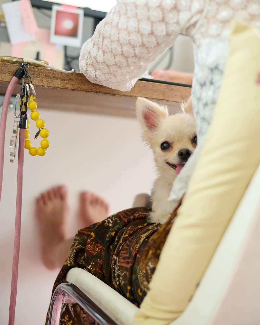 花盛友里のインスタグラム：「事務所deエル子。  きゃわいすぎやねん。」