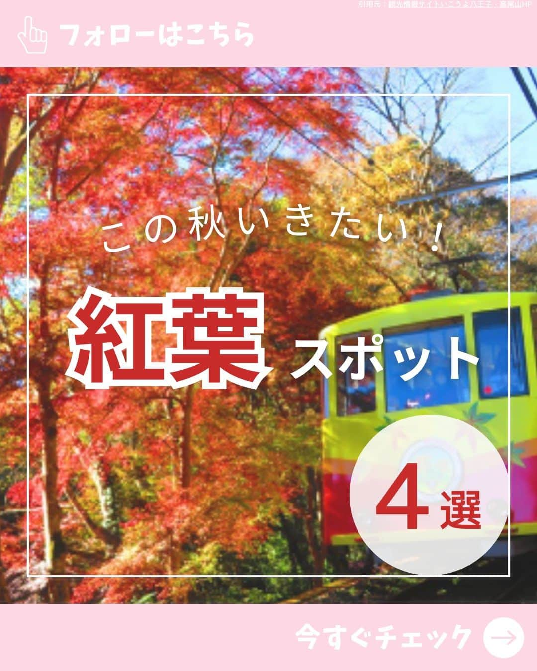 mamaPRESS -ママプレス- のインスタグラム：「◂ほかの投稿はこちらから♪ 「この秋行きたい！紅葉スポット４選」  綺麗な紅葉は毎年見たくなりますよね！ そこで今回は紅葉が綺麗にみられる場所を４つ紹介しました♪ 家族や友人、恋人を誘って秋の思い出を作りに行きましょう～！ ※詳しい情報は公式HPをご覧ください。  気に入ったらいいね！やフォローもお願いします♡ ▶@mamapress_official #紅葉 #紅葉スポット #紅葉シーズン #高尾山 #高尾山紅葉 #瑠璃光院 #メタセコイア並木 #マウントジーンズ那須 #お出かけスポット #八王子 #京都観光 #滋賀観光 #栃木観光」