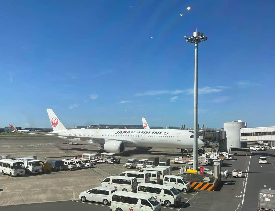 樹里咲穂のインスタグラム：「秋晴れ✨ いざ高松へ✈️ 讃岐うどん楽しみ😊 #最高のオバハン中島ハルコ」