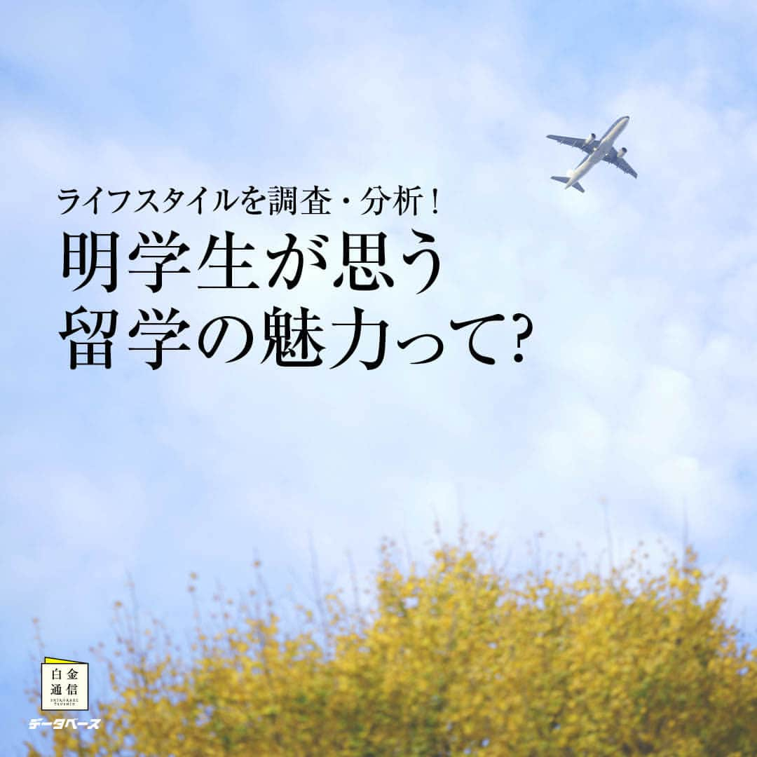 Meiji Gakuin/明治学院大学/明学のインスタグラム：「🔍”明学生データベース”💭  大学広報誌『白金通信』の人気連載企画❣️ 明学生のライフスタイルを調査、分析するコーナーです。 秋号のテーマは、「明学生と留学」🌍ㅤㅤㅤㅤㅤㅤㅤㅤㅤㅤㅤㅤㅤ 留学の魅力や情報の仕入れ方など、 留学を考えている人や、 国際交流に興味がある人は必見です🧐 ㅤㅤㅤㅤㅤㅤㅤㅤㅤㅤㅤㅤㅤㅤㅤㅤㅤㅤ ぜひチェックしてみてくださいね💡  『白金通信』はポートヘボンでも公開しています！ ポートヘボン＞学生生活から Wi-Fi環境下でダウンロード▼  ※『白金通信』は、在学生・保証人・教職員を対象とした大学広報誌(年4回発行)です。 一般の方向けに定期購読も受付中。 詳細は、プロフィール( @mguniv )のURLにてお知らせしています。  #明治学院大学 #白金キャンパス #横浜キャンパス #白金 #横浜 #戸塚 #白金通信 #明学生データベース #明学生 #留学 #明学ライフ #mgu #大学生活 #秋学期もがんばろう #秋学期 #学生生活 #キャンパスライフ #明学 #明治学院 #大学 #授業 #大学広報誌 #meijigakuinuniversity #meijigakuin #university #meigaku #photography #photographer」